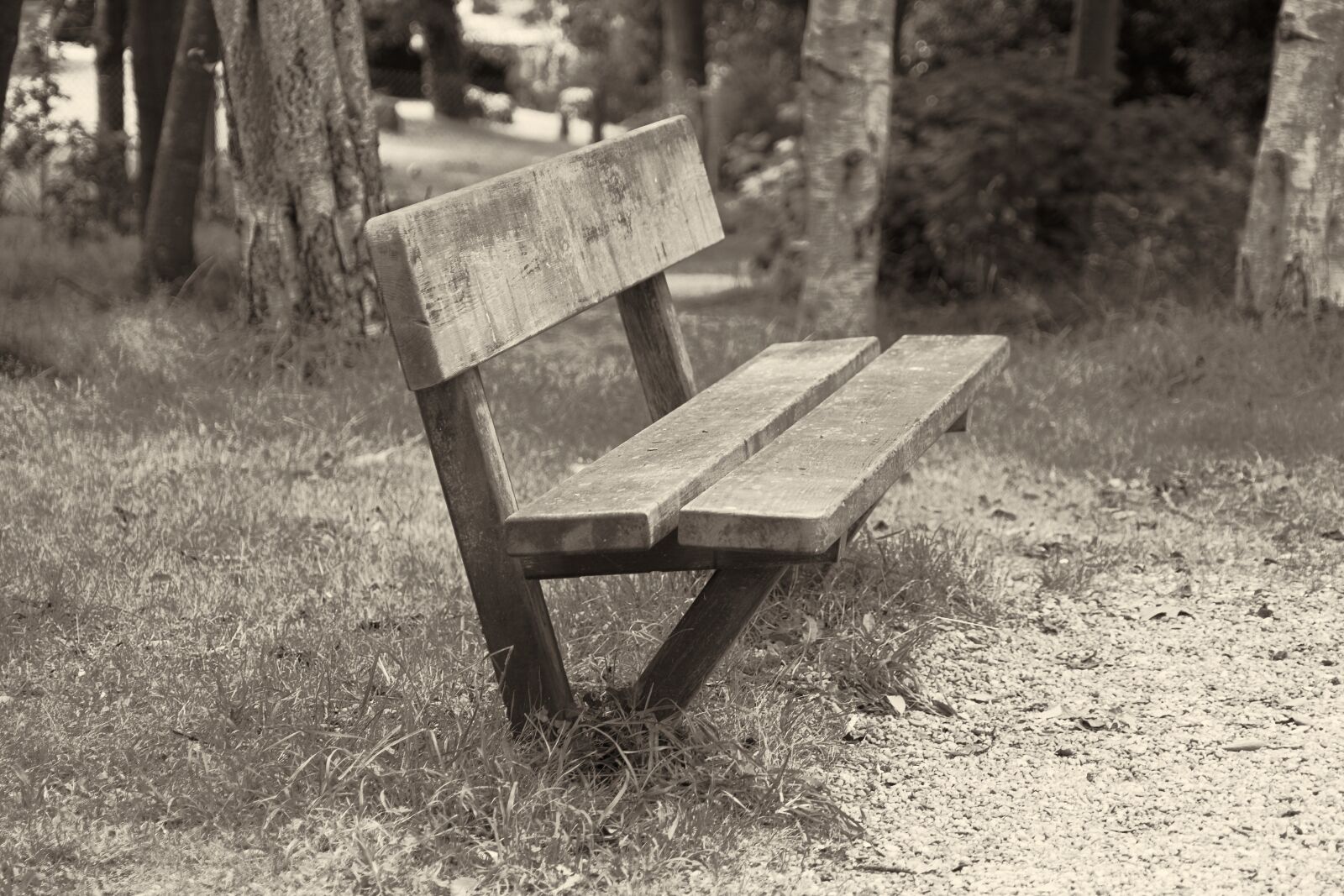 Sony FE 24-240mm F3.5-6.3 OSS sample photo. Wood, bench, no person photography