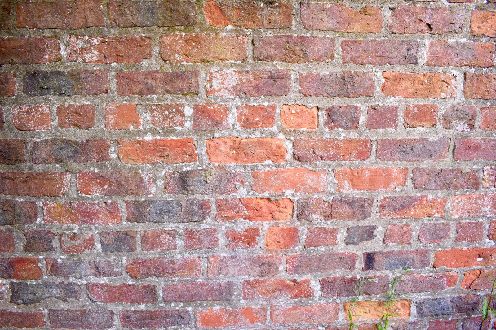 Nikon D3300 sample photo. Brick, red, old photography