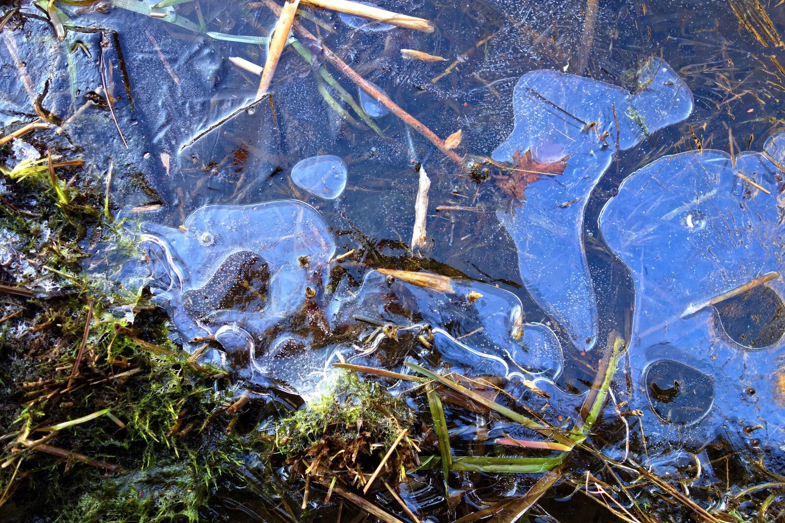 Sony Cyber-shot DSC-RX100 sample photo. Ice, frozen, freezing photography