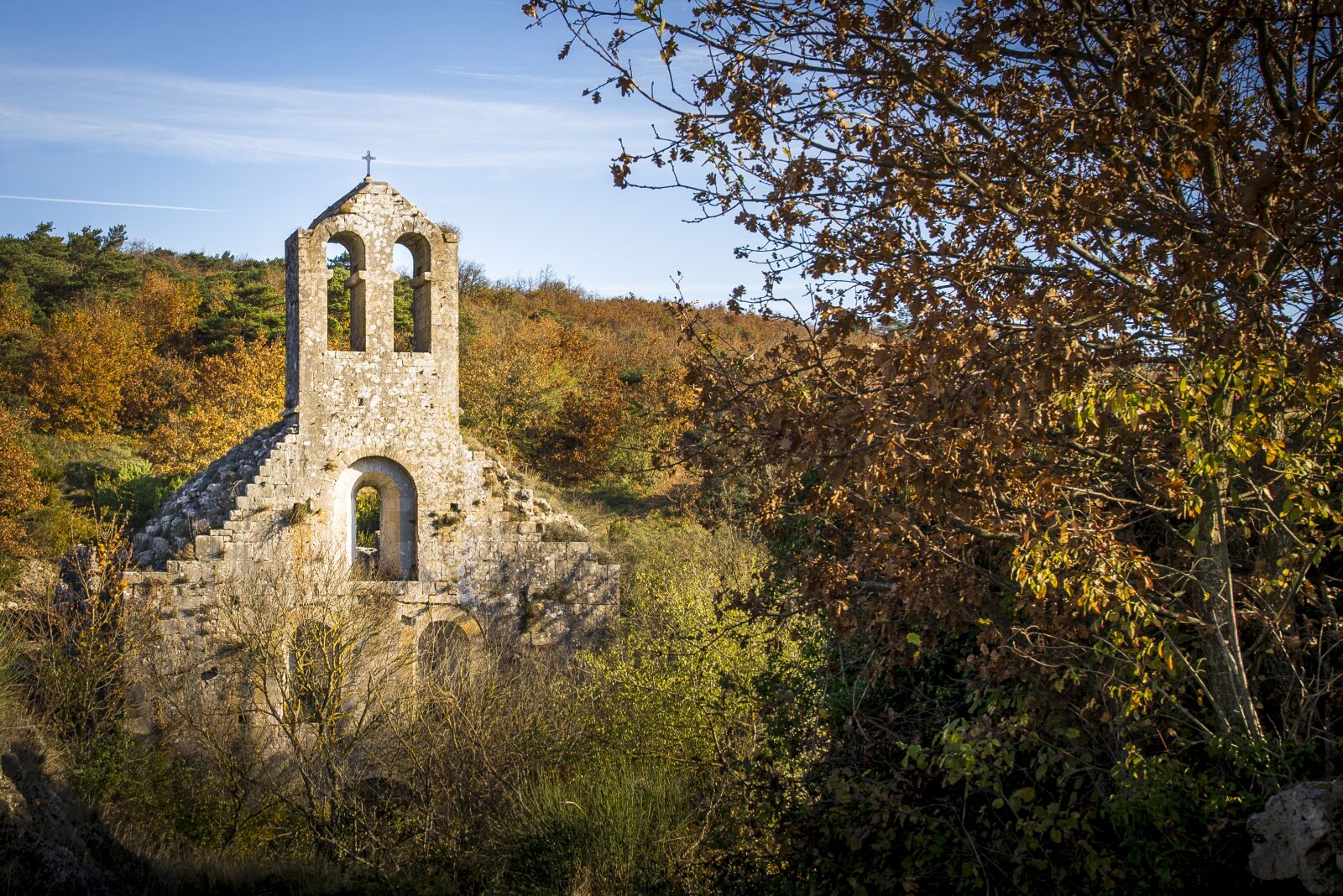 Nikon D800 sample photo. Church, ruin, benedictine photography