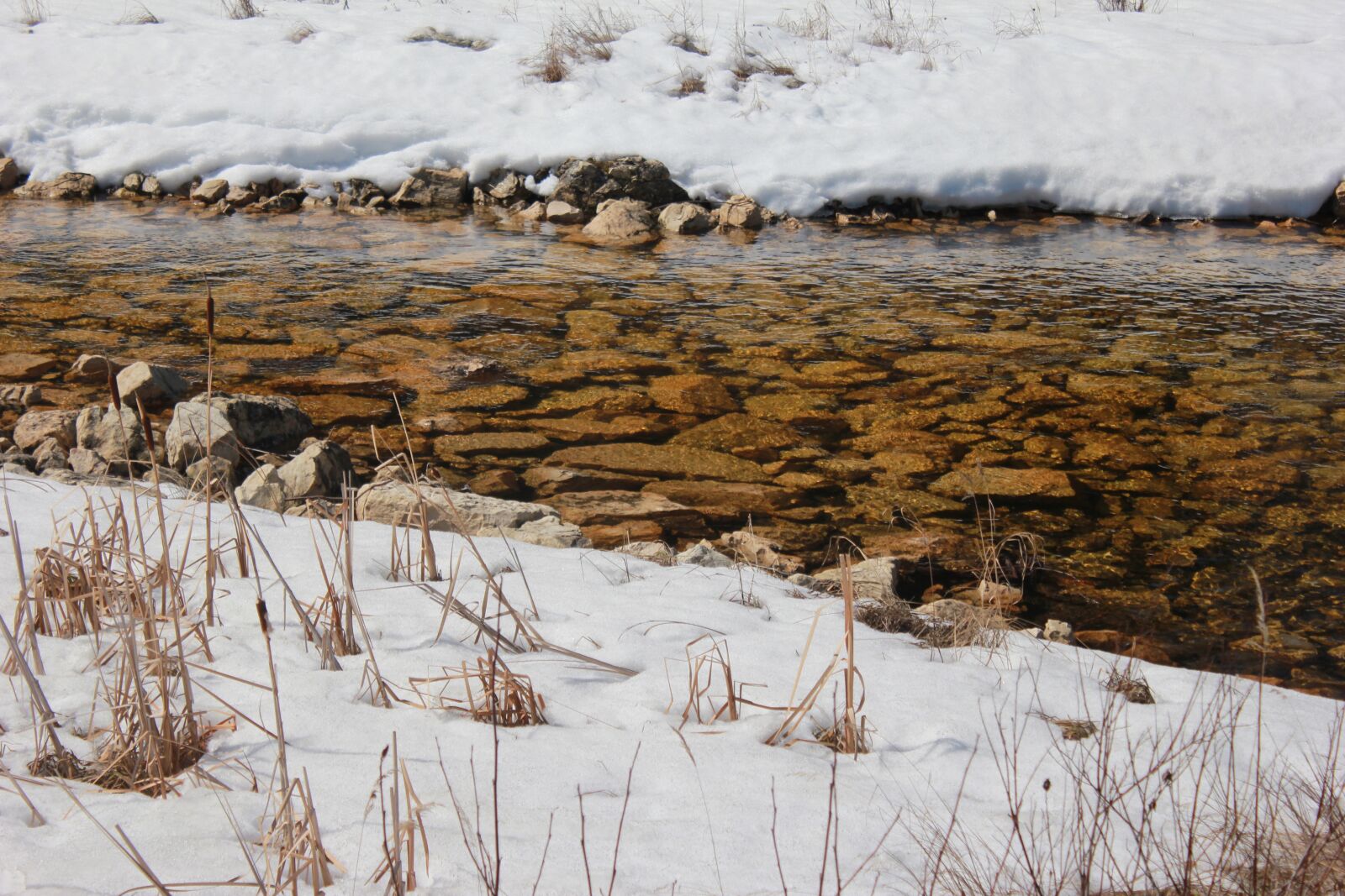 Canon EOS 550D (EOS Rebel T2i / EOS Kiss X4) sample photo. Spring, creek, nature photography