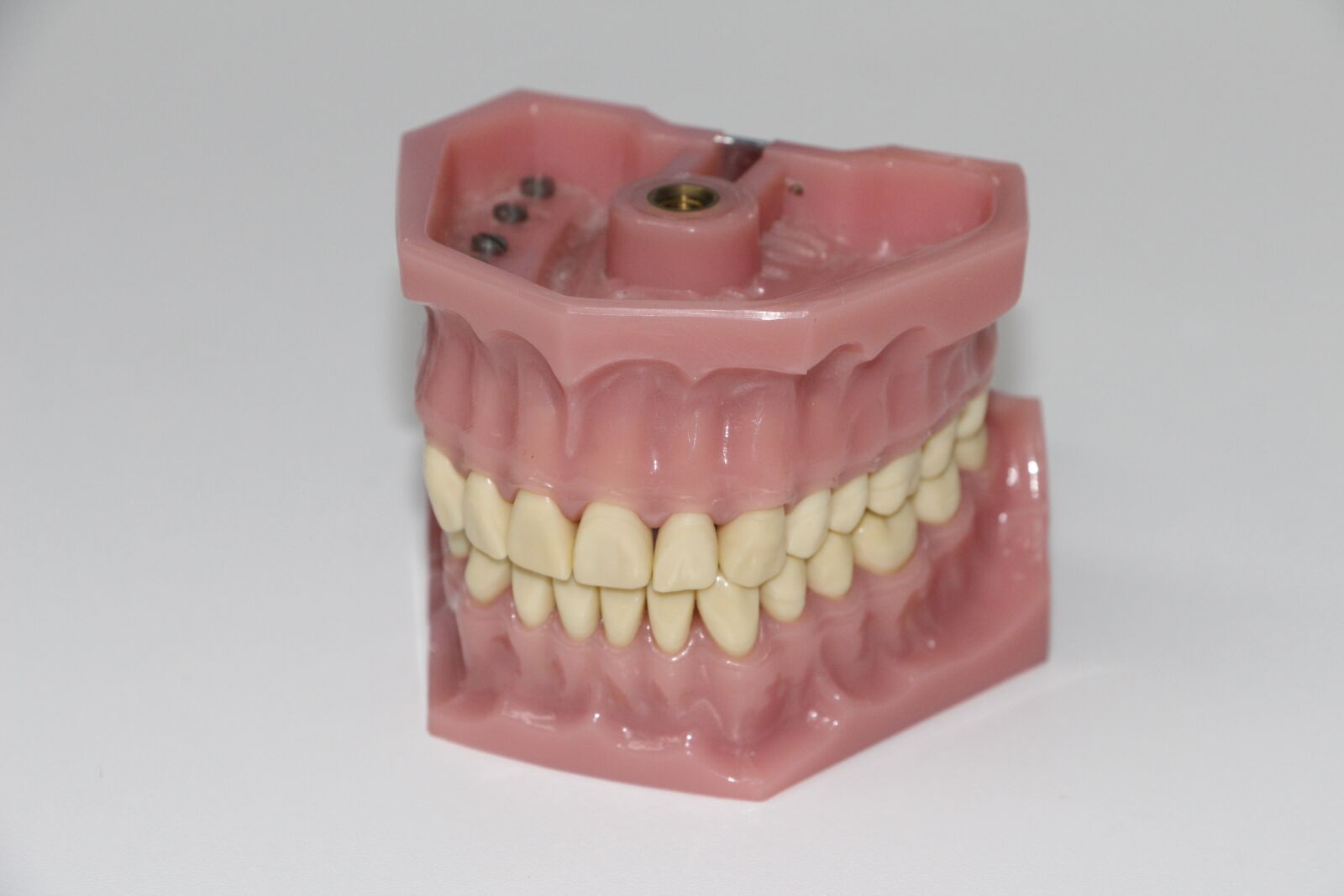Canon EOS 650D (EOS Rebel T4i / EOS Kiss X6i) sample photo. Dentures, art dentures, put photography