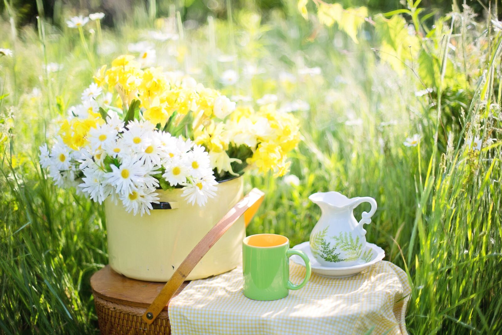 Canon EF 50mm F1.4 USM sample photo. Daisies, summer, flowers photography