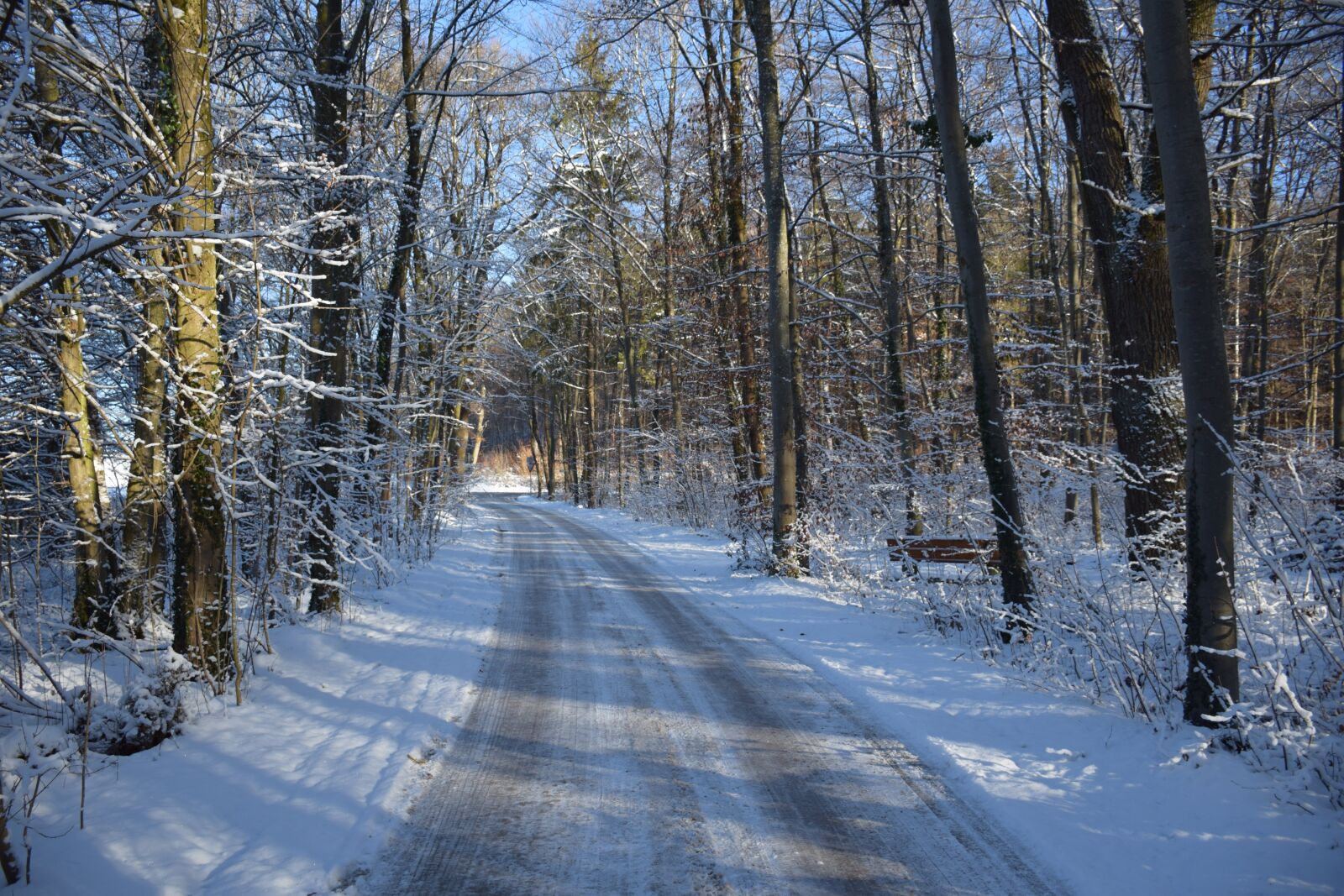 Nikon D5300 sample photo. Winter, away, nature photography