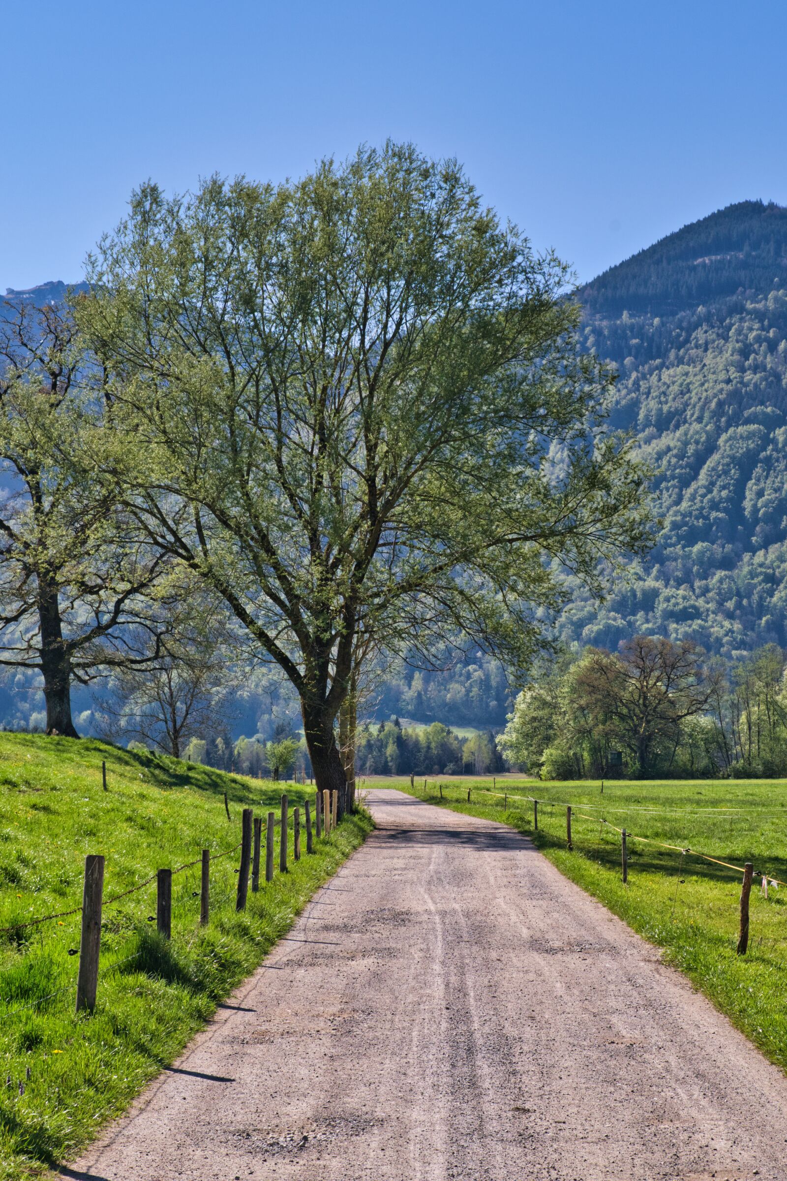 Nikon D7500 sample photo. Spring, landscape, chiemgau photography