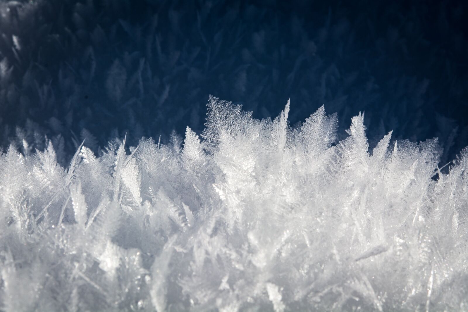 Nikon D7100 sample photo. Ice, snow, crystals photography