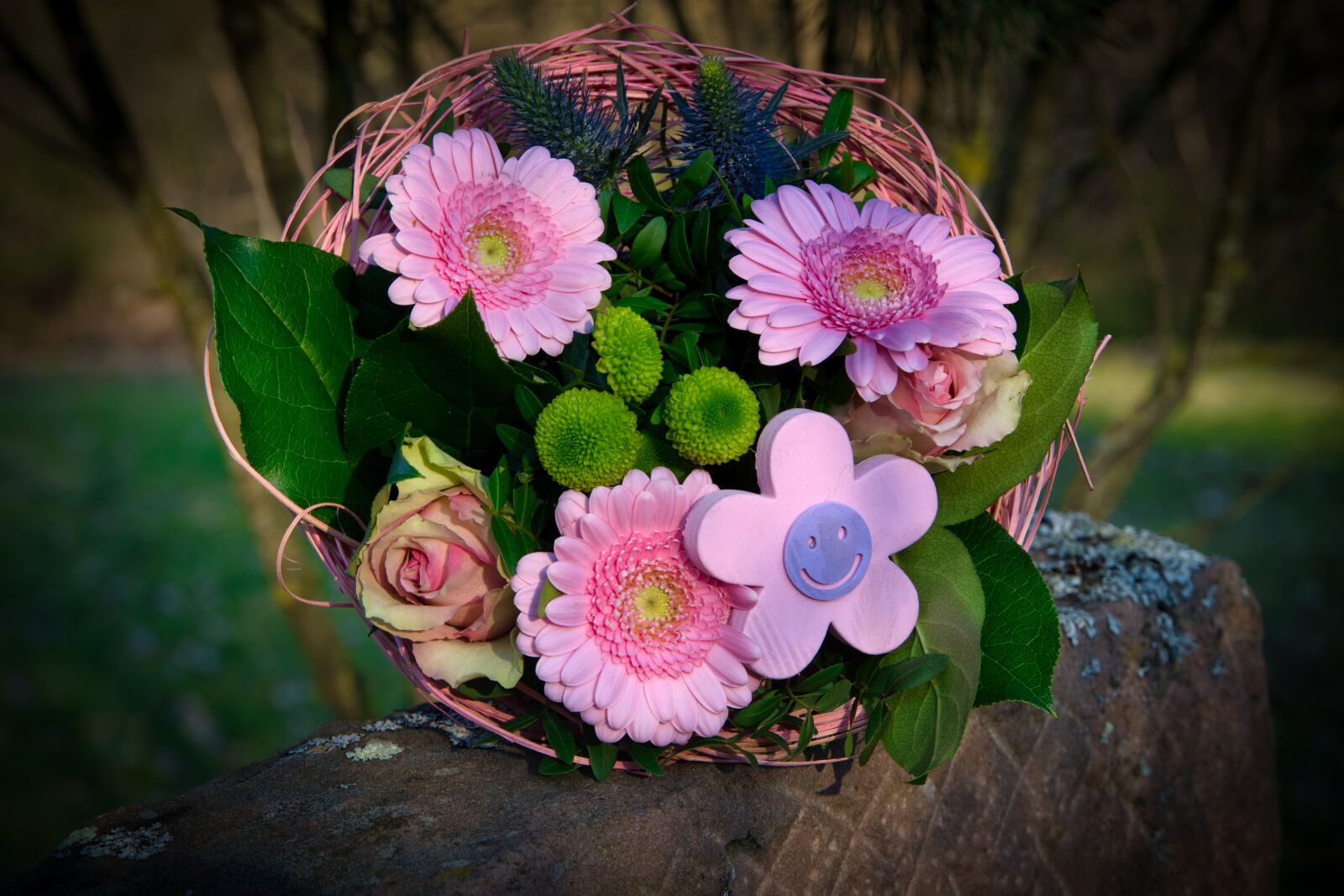 Sony a6400 sample photo. Valentine's day, women's day photography