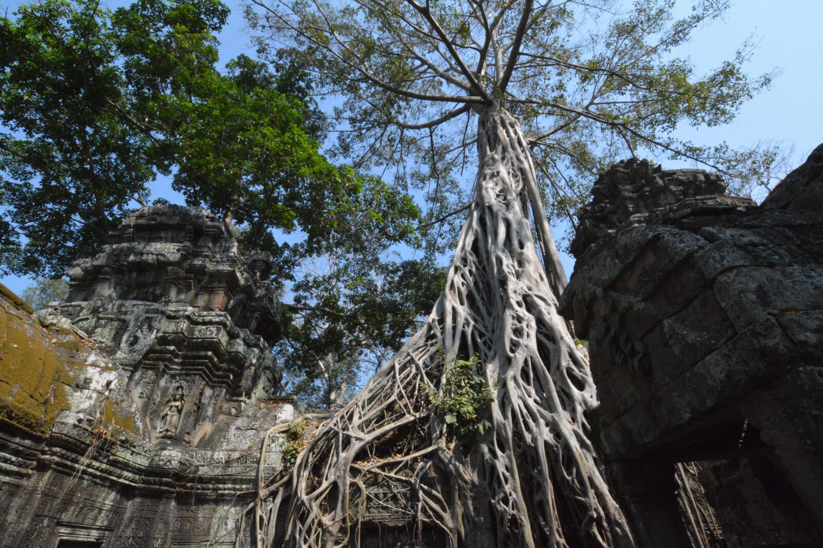 Nikon D7100 sample photo