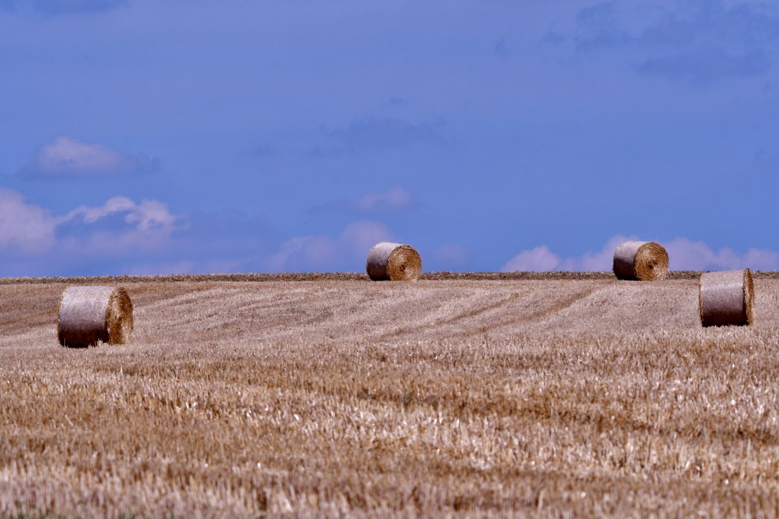 Nikon D500 sample photo. Straw, harvest, summer photography
