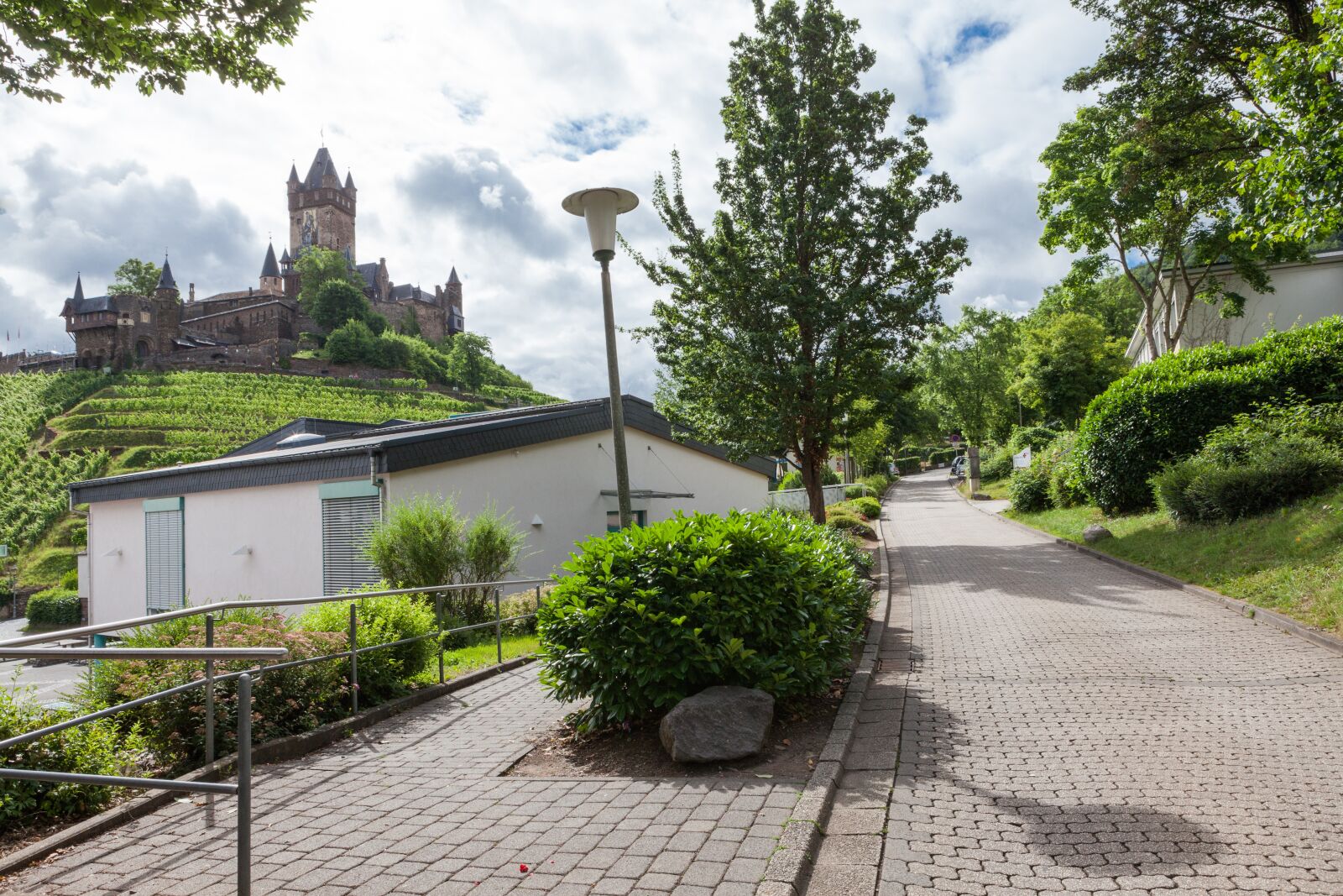 Canon EOS 5D Mark II sample photo. Vineyard, castle, vines photography