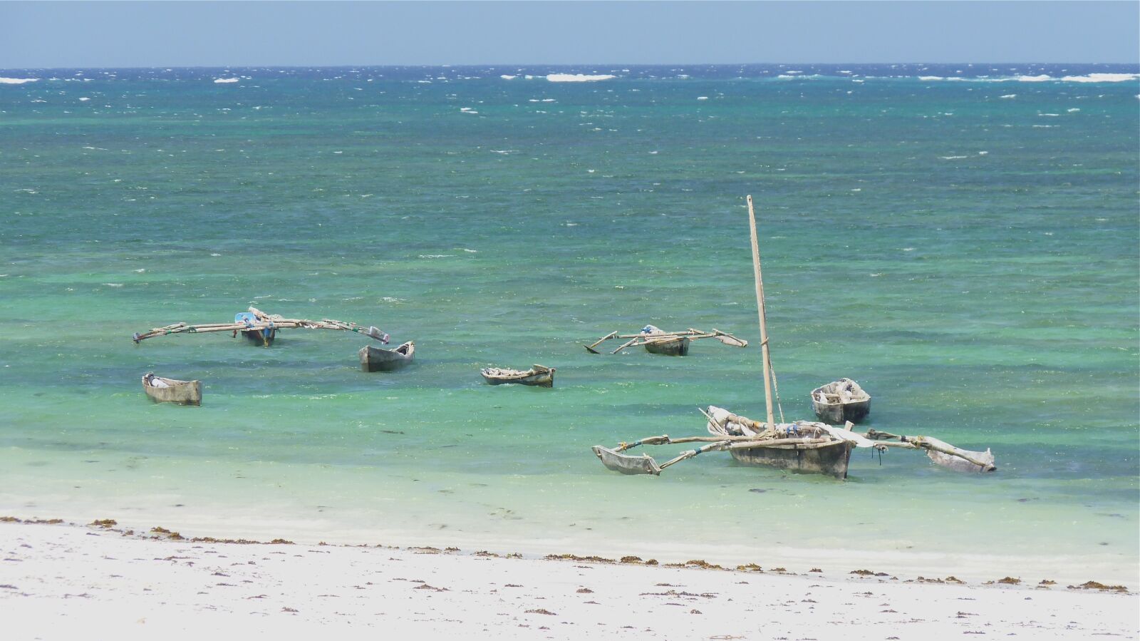 Panasonic Lumix DMC-FZ35 (Lumix DMC-FZ38) sample photo. Kenya, indian ocean, sand photography