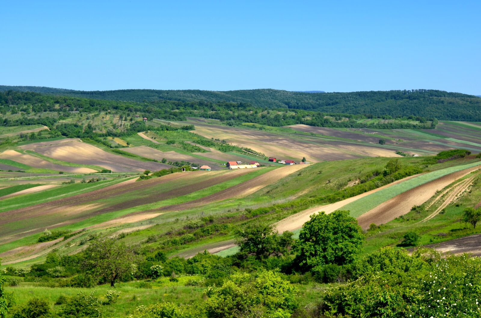 Nikon D5100 sample photo. Field, mountains, coach photography