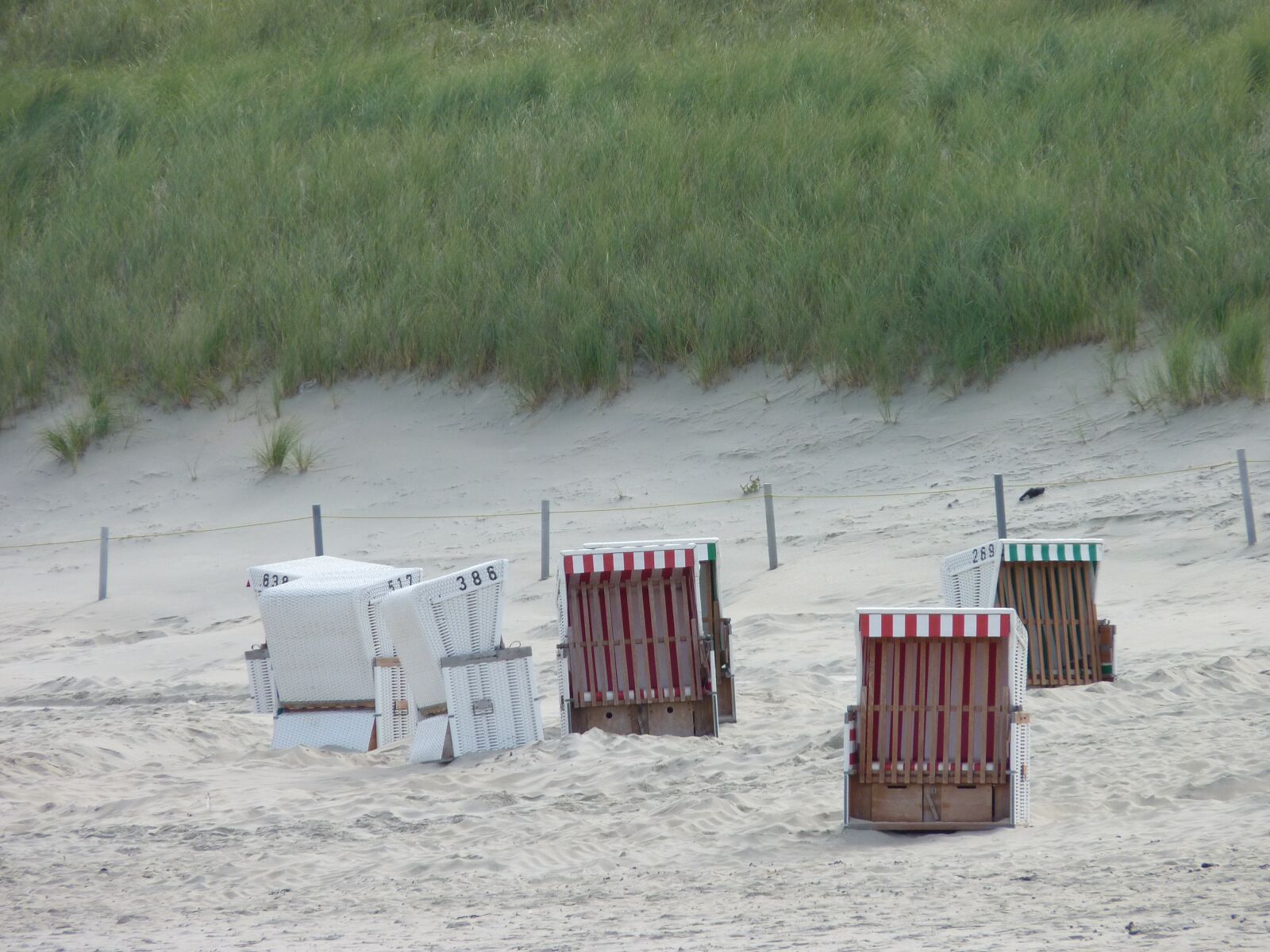 Panasonic Lumix DMC-FZ35 (Lumix DMC-FZ38) sample photo. Clubs, sand beach, beach photography