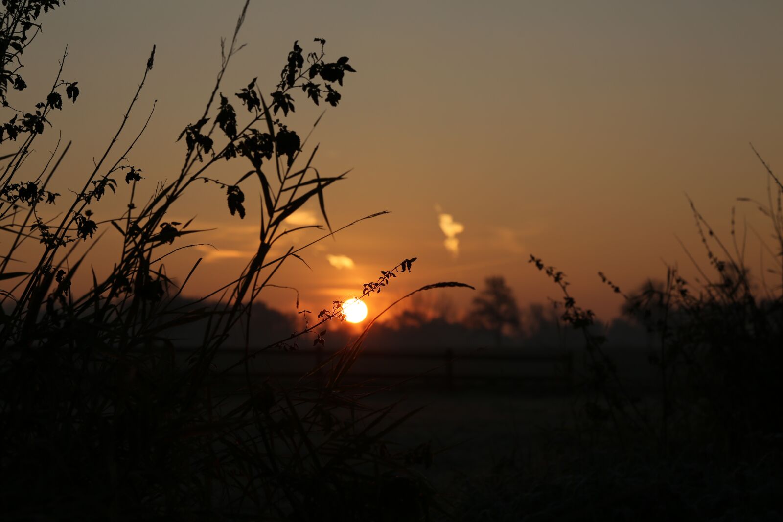 Canon EF 24-105mm F4L IS USM sample photo. Evening, sunset, sun photography