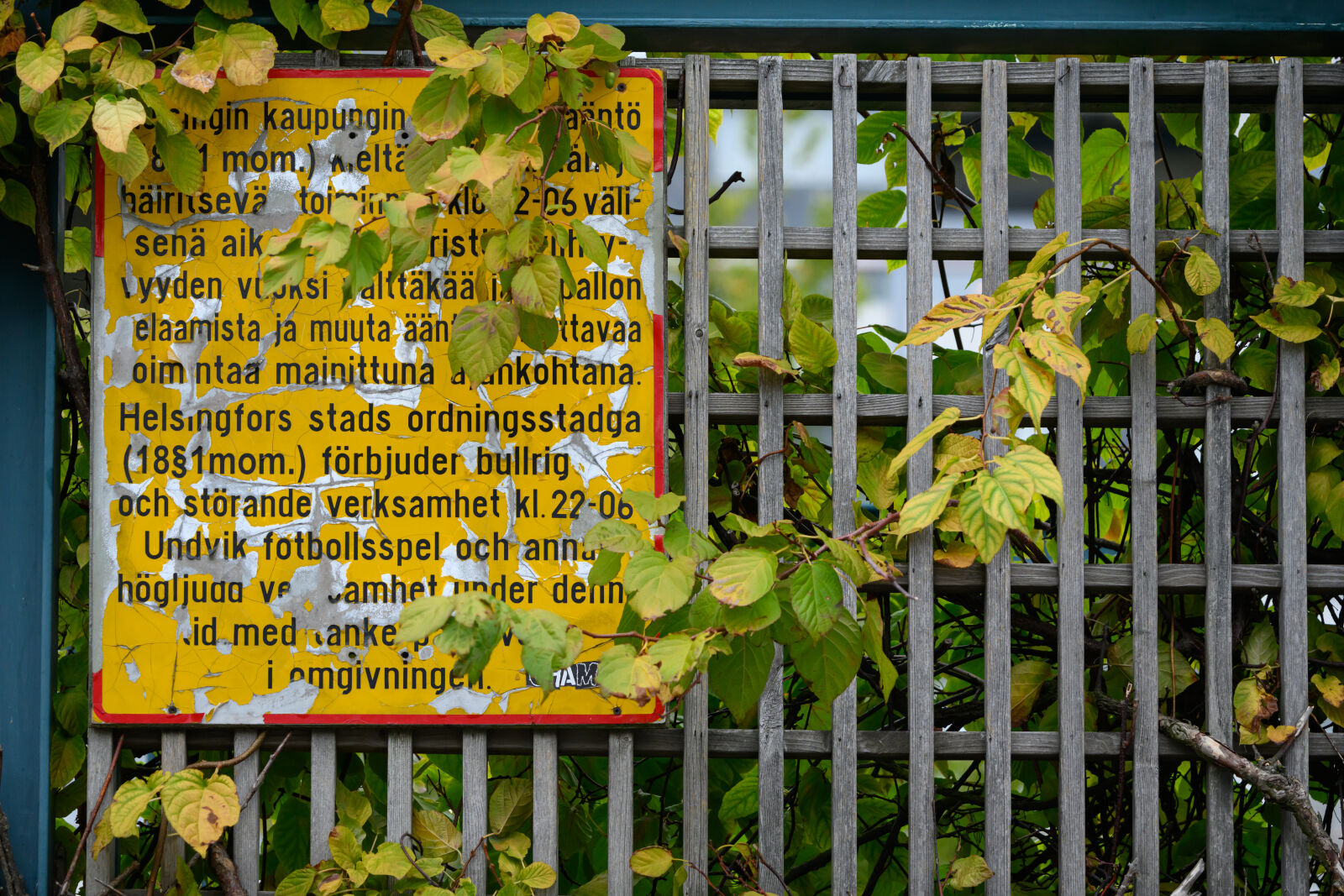 Nikon Z8 sample photo. Wornout sign photography