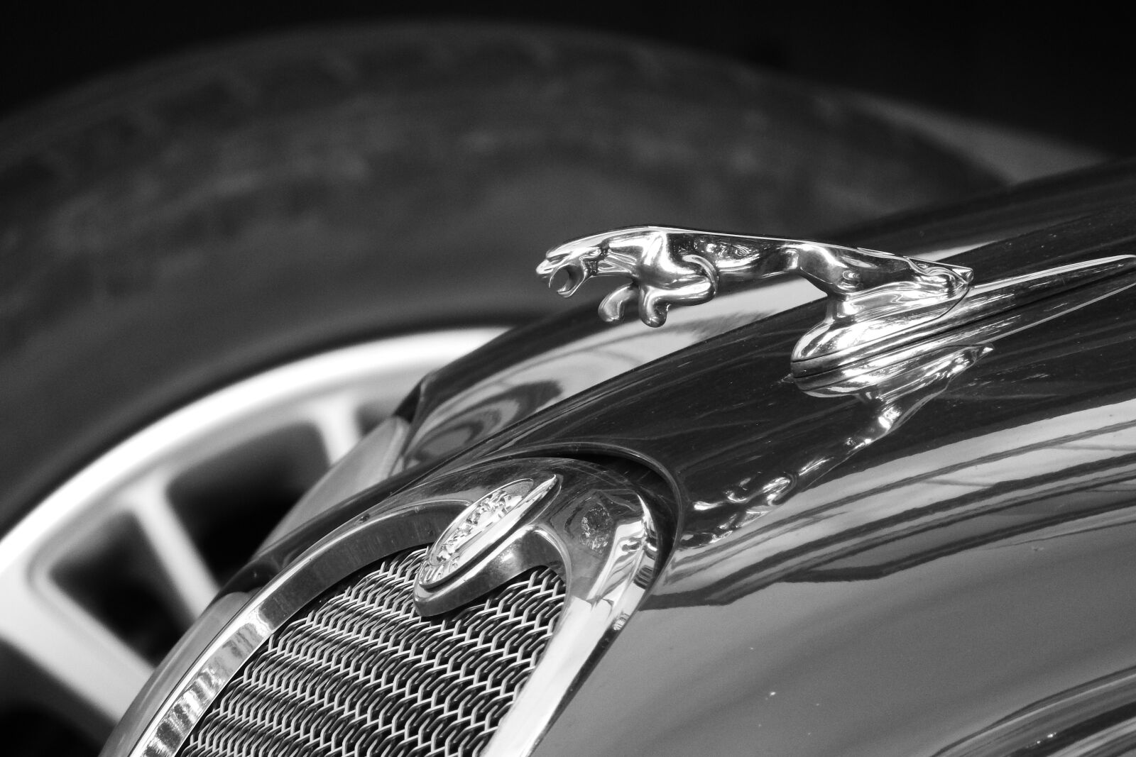 Nikon Coolpix P610 sample photo. Jaguar, expensive car, car photography