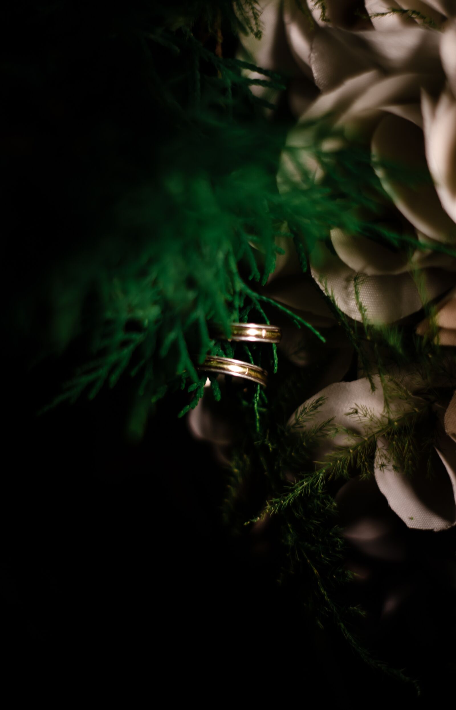 Nikon D7000 sample photo. Alliances, rings, marriage photography
