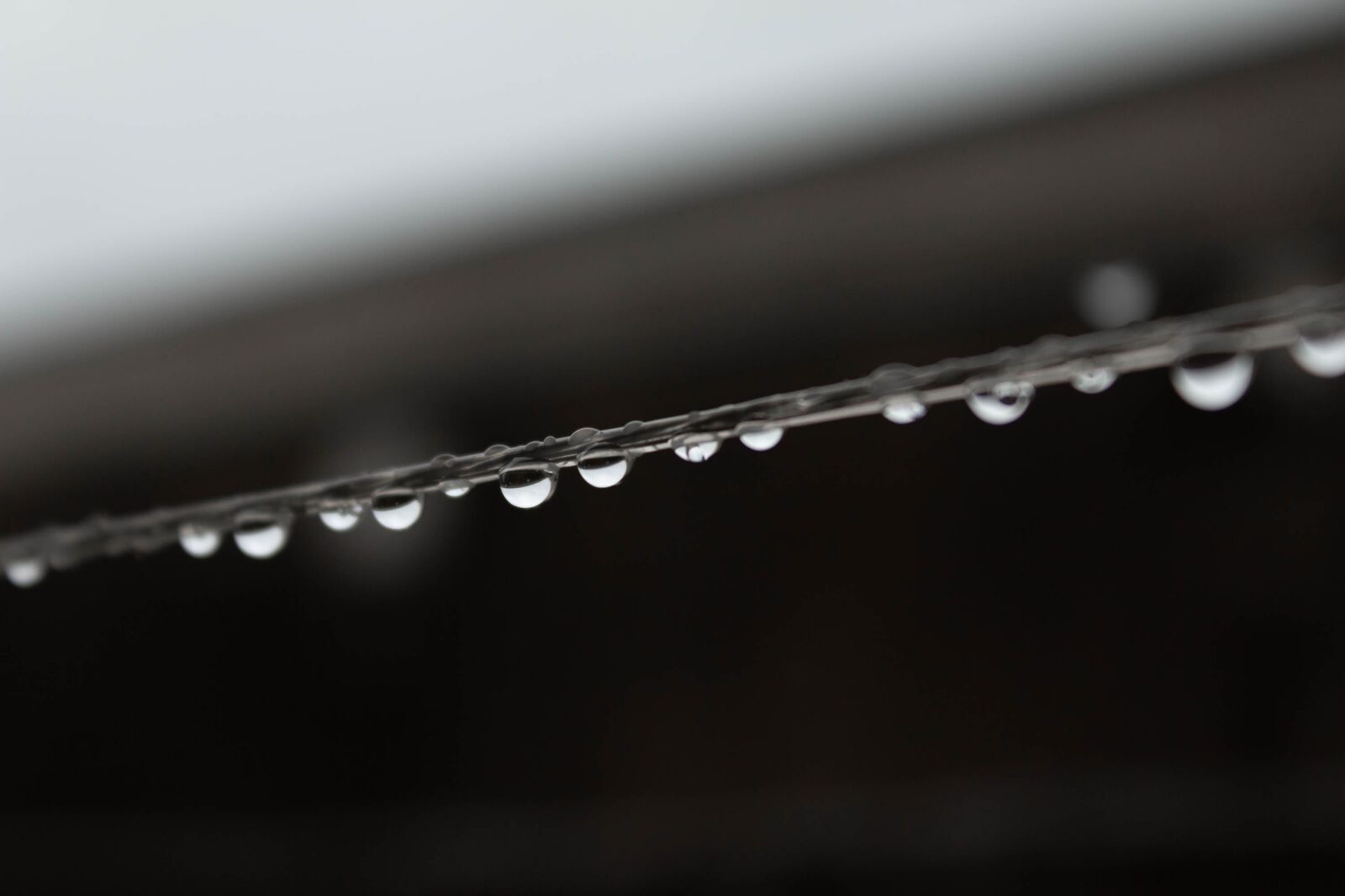 Canon EF-S 18-55mm F3.5-5.6 IS sample photo. Drops, water, wet photography