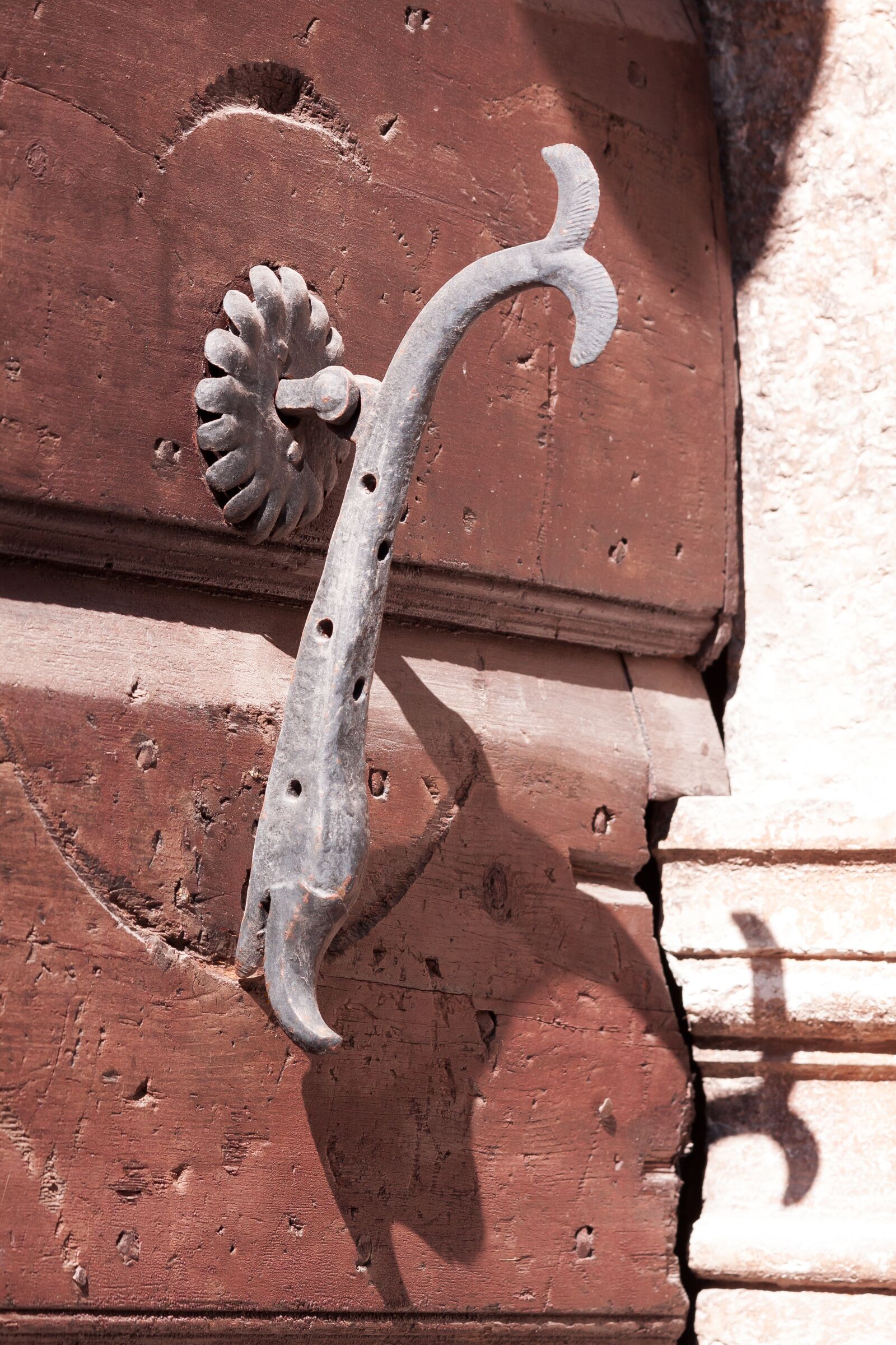 Canon EOS 50D sample photo. Doorknocker, door handle, fish photography