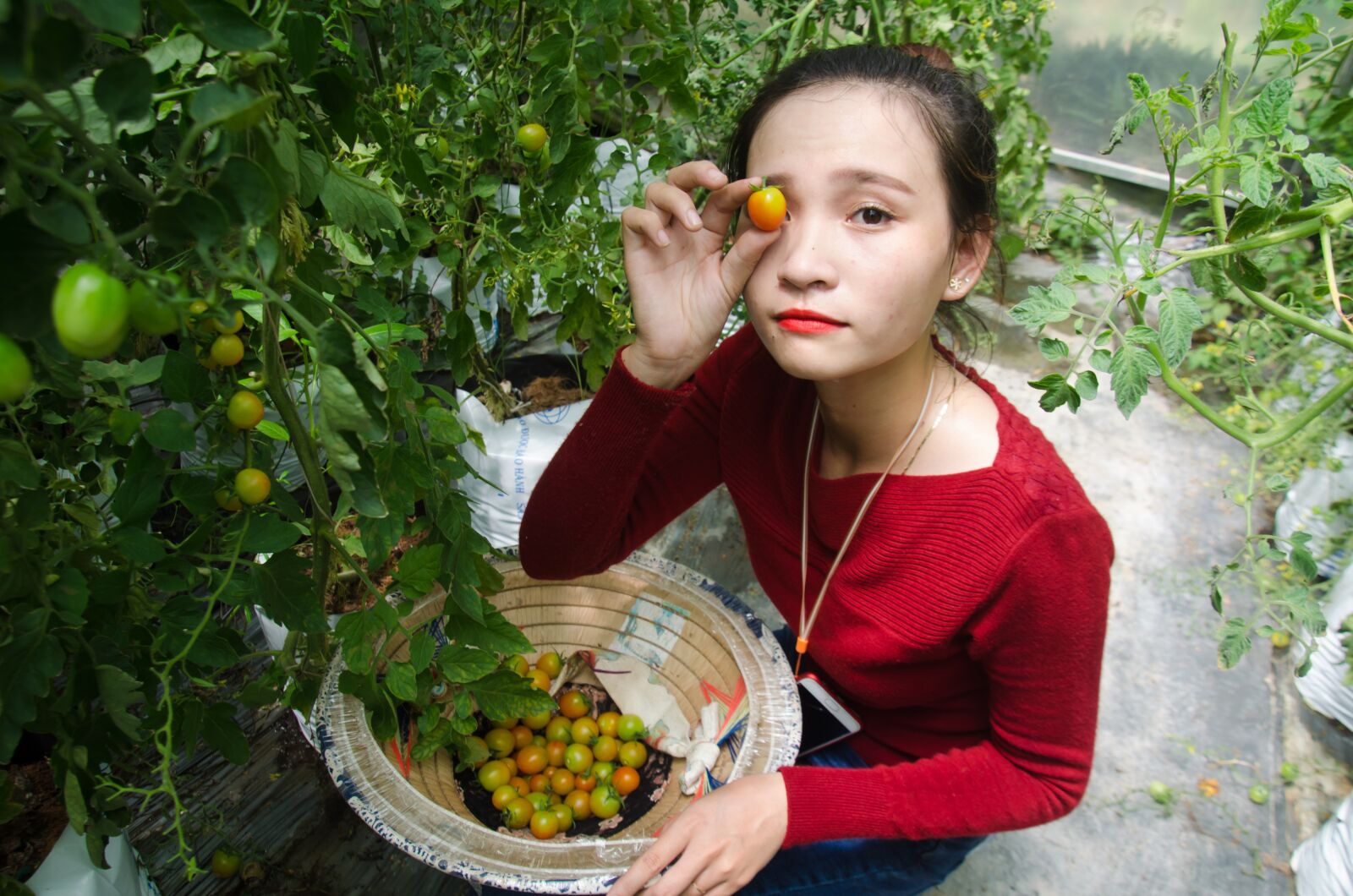 Nikon D5100 sample photo. Agriculture, tomatoes, labor photography