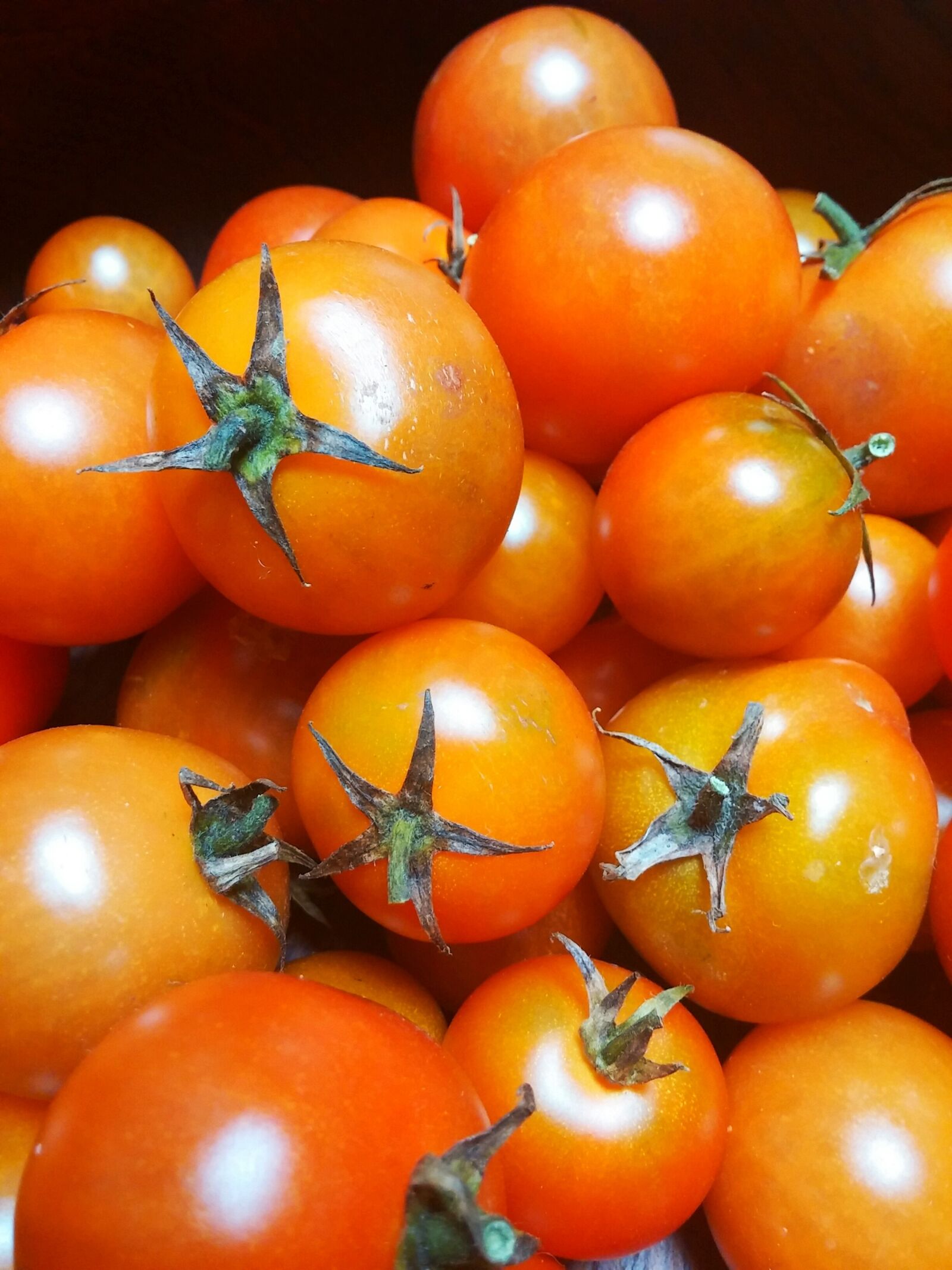 LG D80 sample photo. Organic, tomato, tomatoes photography