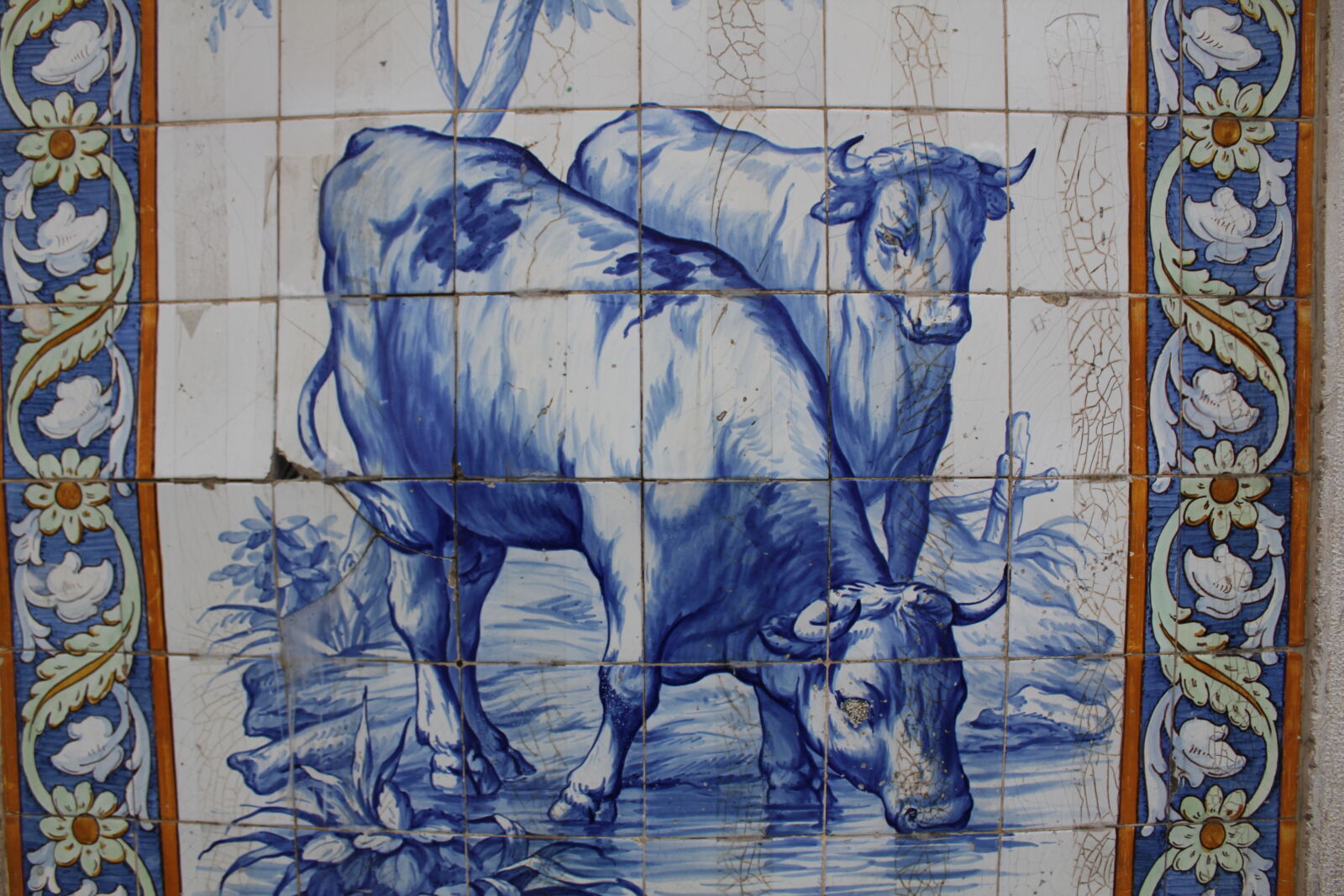 Canon EOS 550D (EOS Rebel T2i / EOS Kiss X4) sample photo. Bulls, old, tile photography