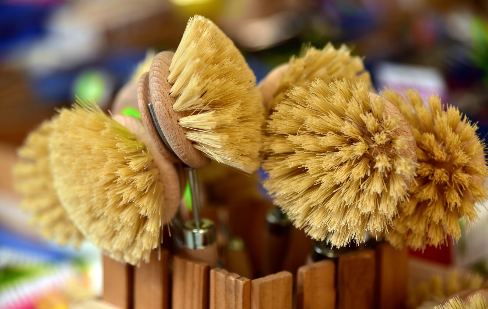 Nikon D750 sample photo. Brushes, bristles, cleaning photography