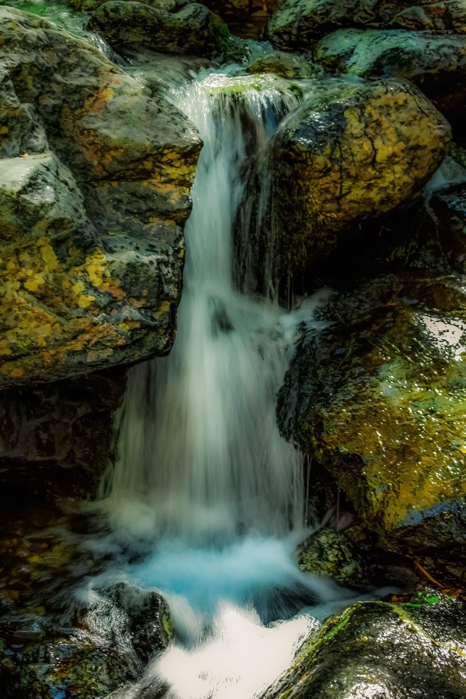 Nikon D3300 sample photo. Stream, water, creek photography