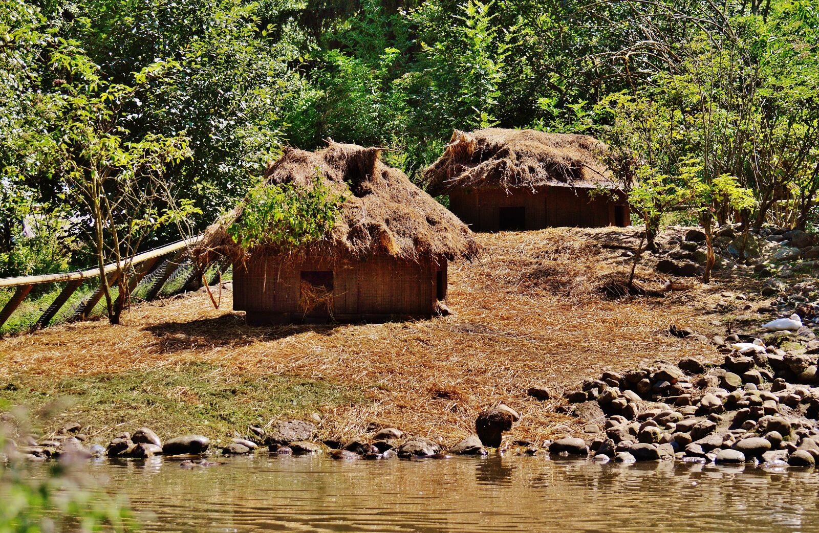 Nikon D3200 sample photo. Cottages, sleep, shelter photography