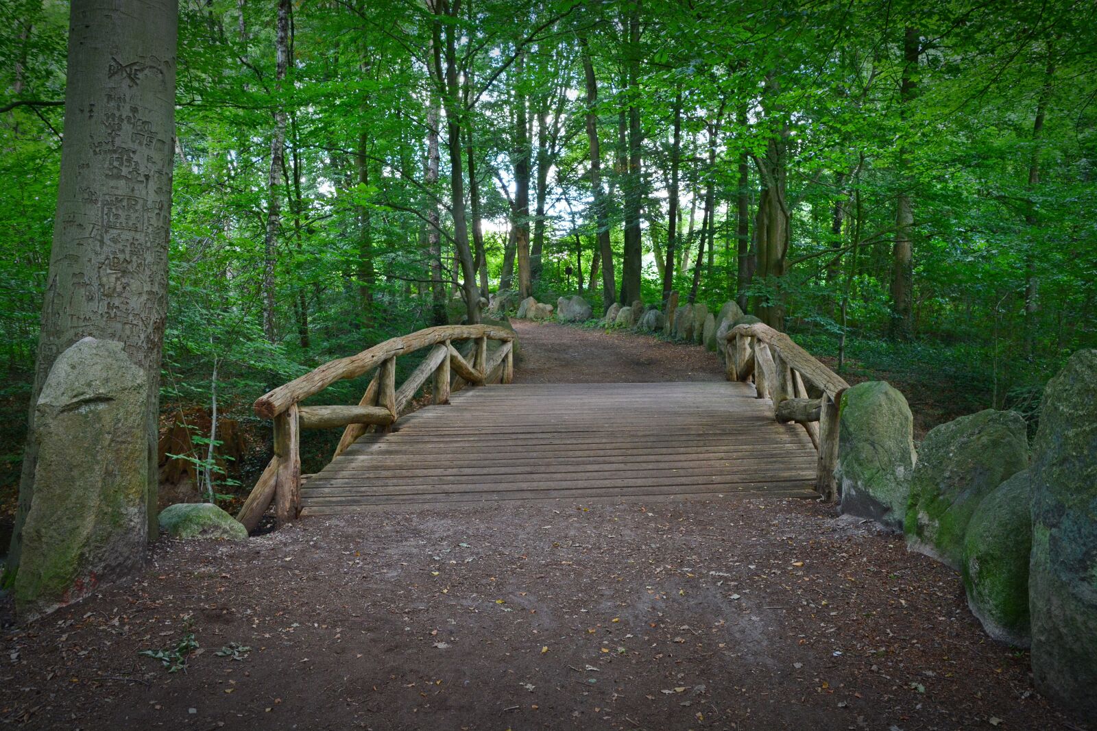Nikon D5200 sample photo. Bridge, forest, forest path photography