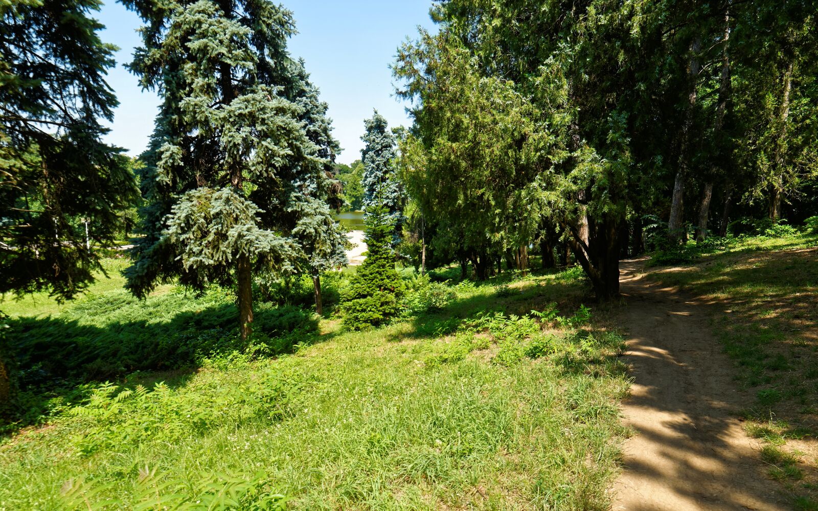 Nikon D5300 sample photo. Landscape, nature, park photography