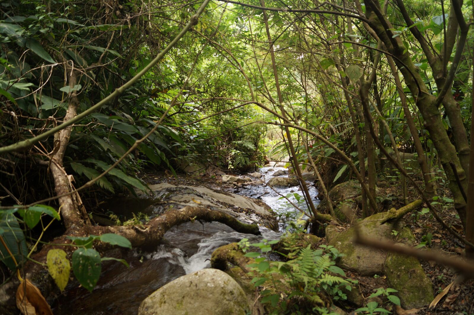 Sony DT 18-55mm F3.5-5.6 SAM II sample photo. Mountain, nature, landscape photography