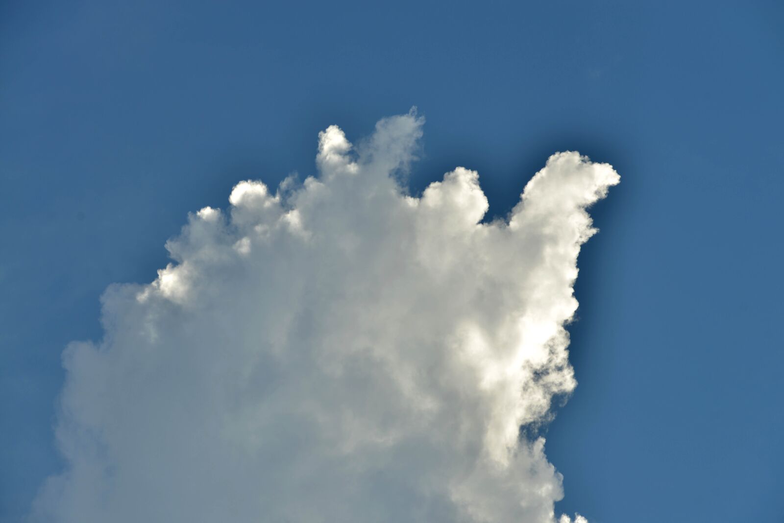 Nikon D800 sample photo. Cloud, sky, white photography