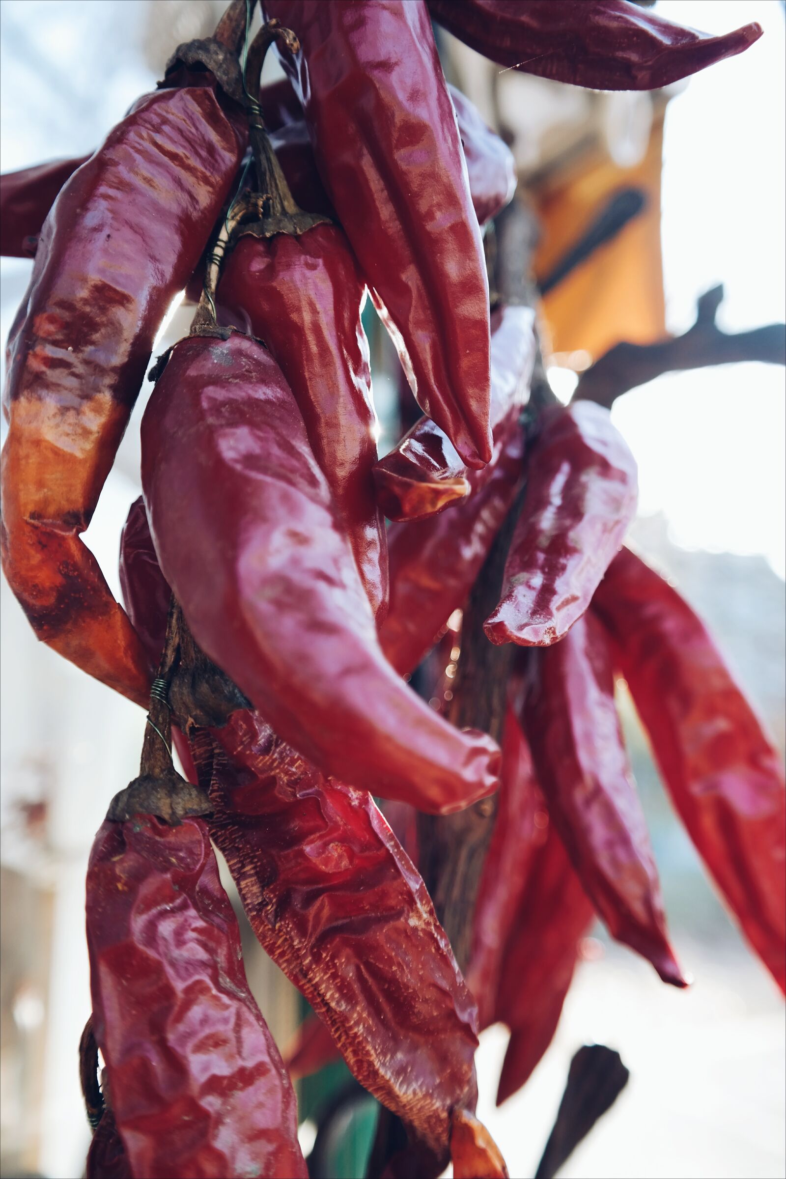 Samsung NX300 sample photo. Cayenne, chillies, close, up photography