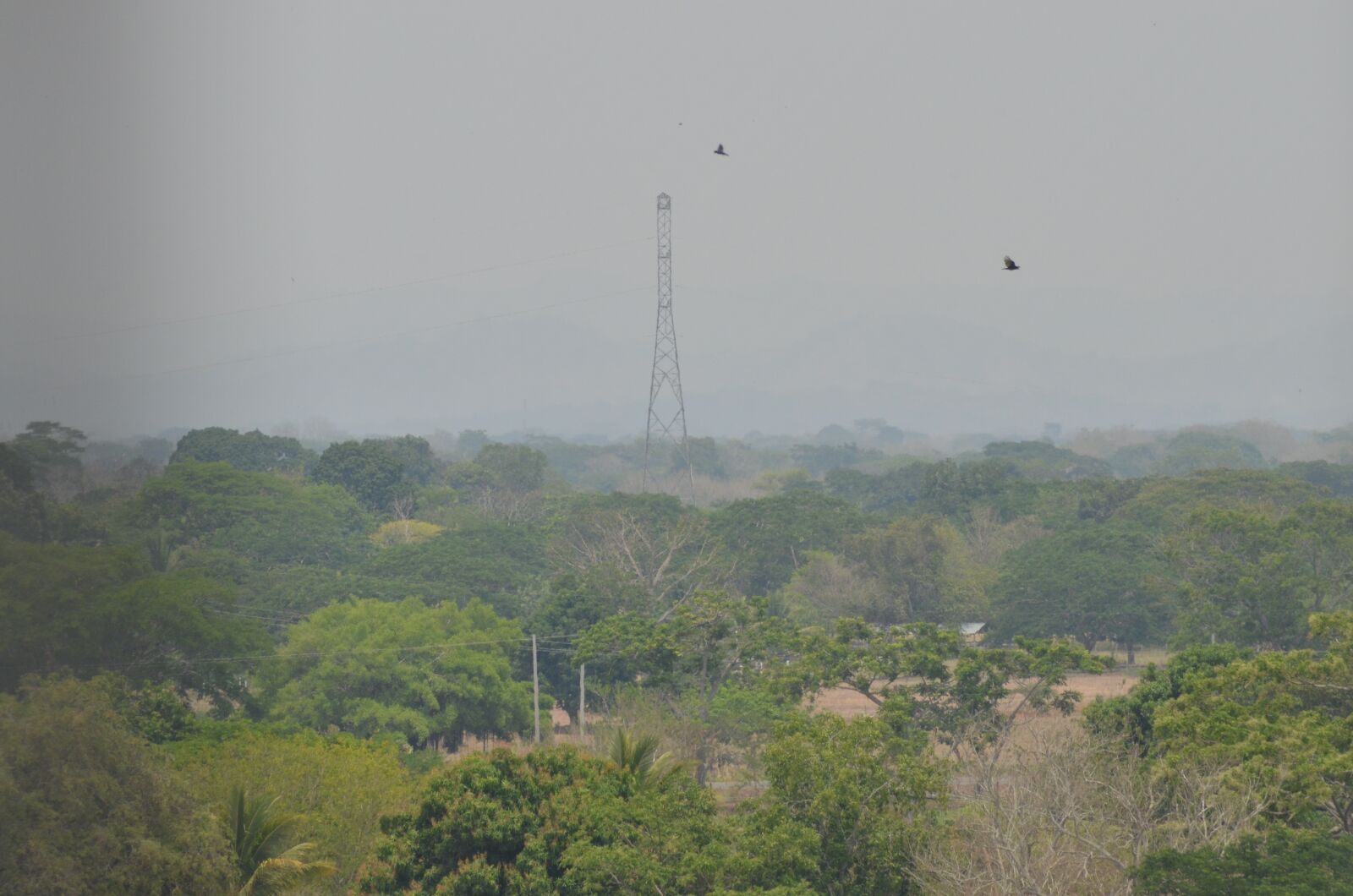 Nikon D5100 sample photo. Tower, energy, electricity photography