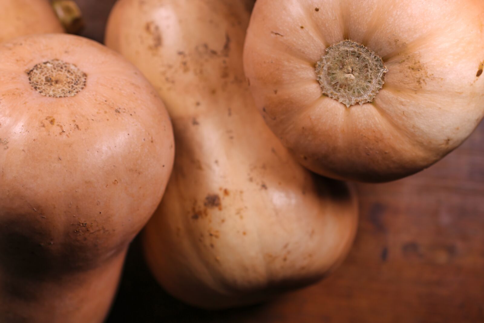 Canon EOS 750D (EOS Rebel T6i / EOS Kiss X8i) sample photo. Butternut squash, butternut, squash photography