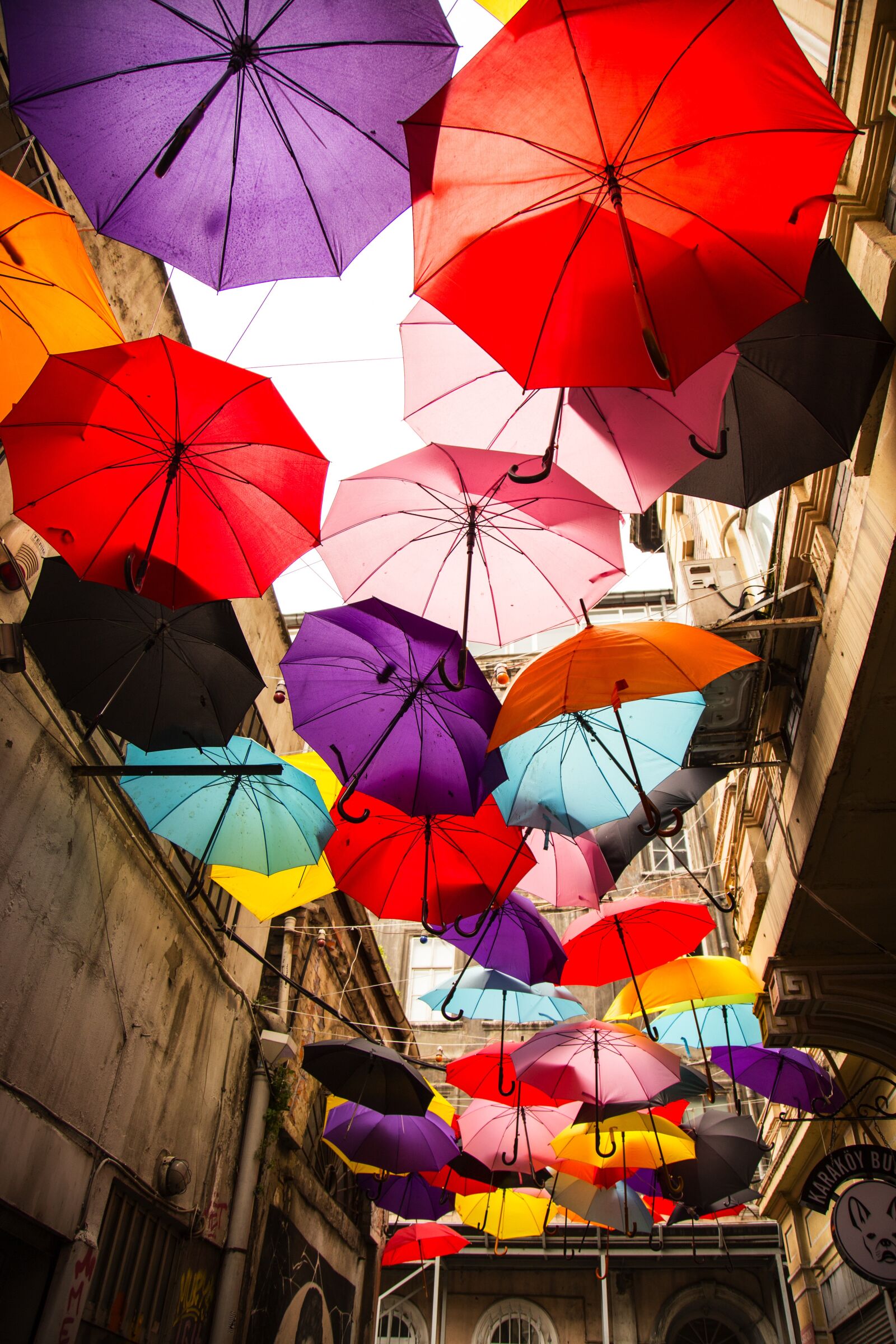 Canon EOS 6D + Canon EF 24-105mm F4L IS USM sample photo. Umbrella, color, happiness photography