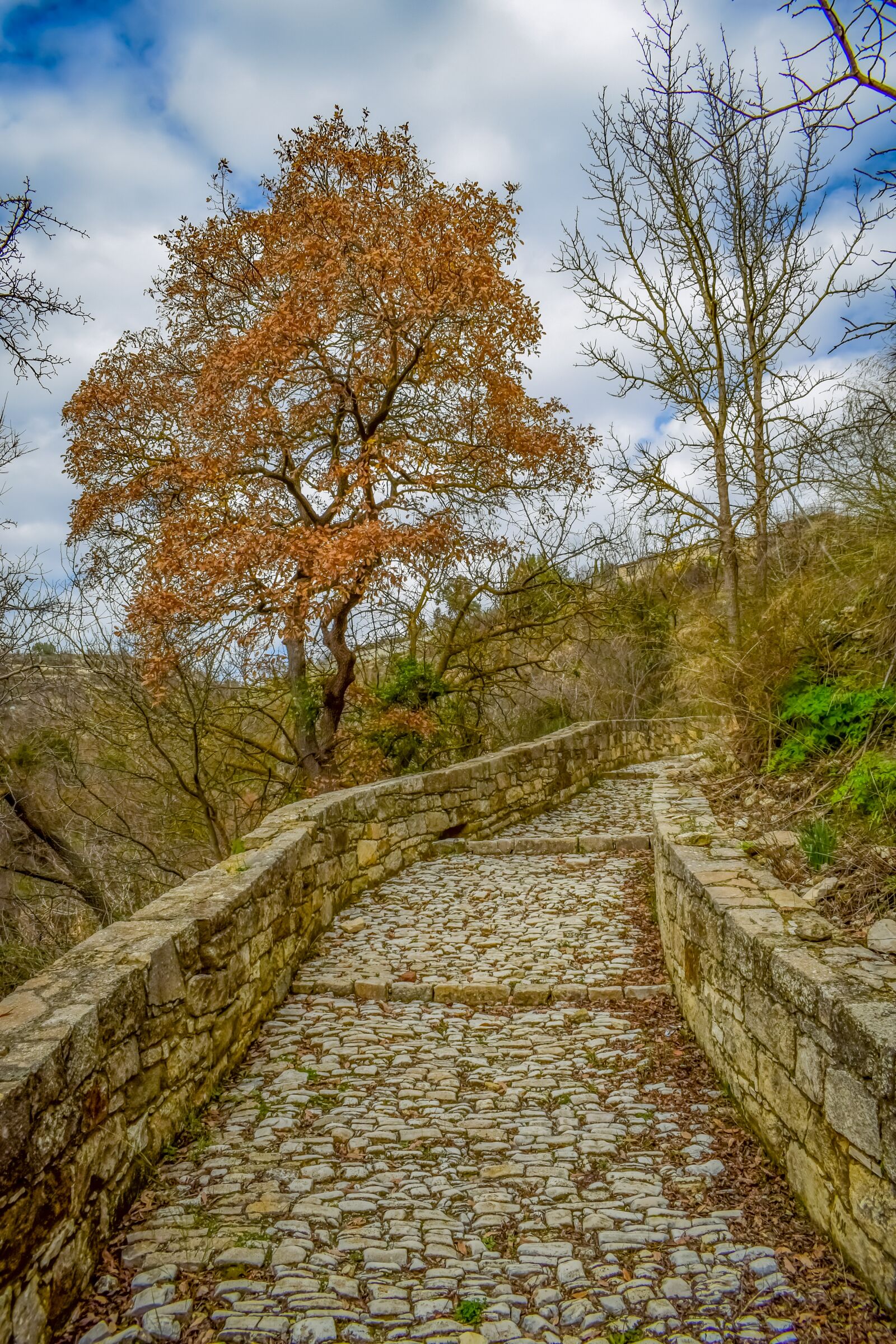 Nikon D3300 sample photo. Path, cobblestone, cobbled path photography