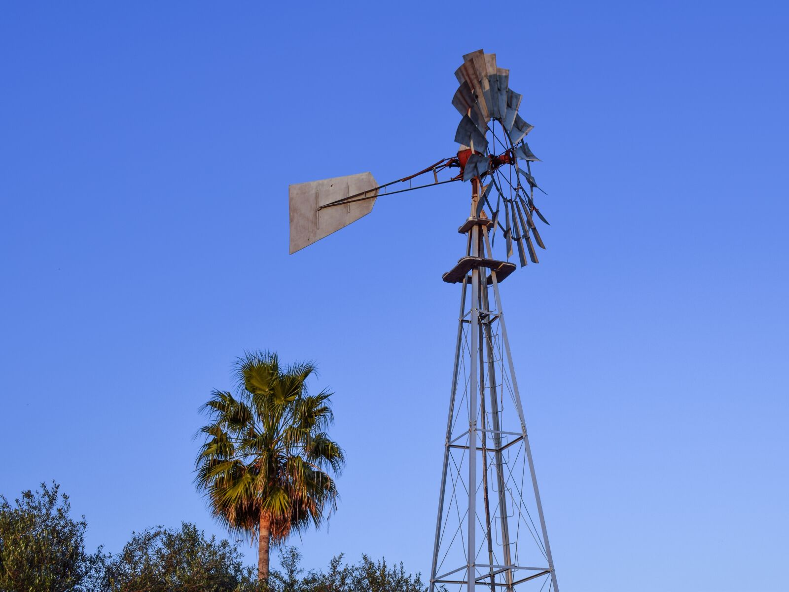 Nikon D3300 sample photo. Windmill, palm tree, countryside photography