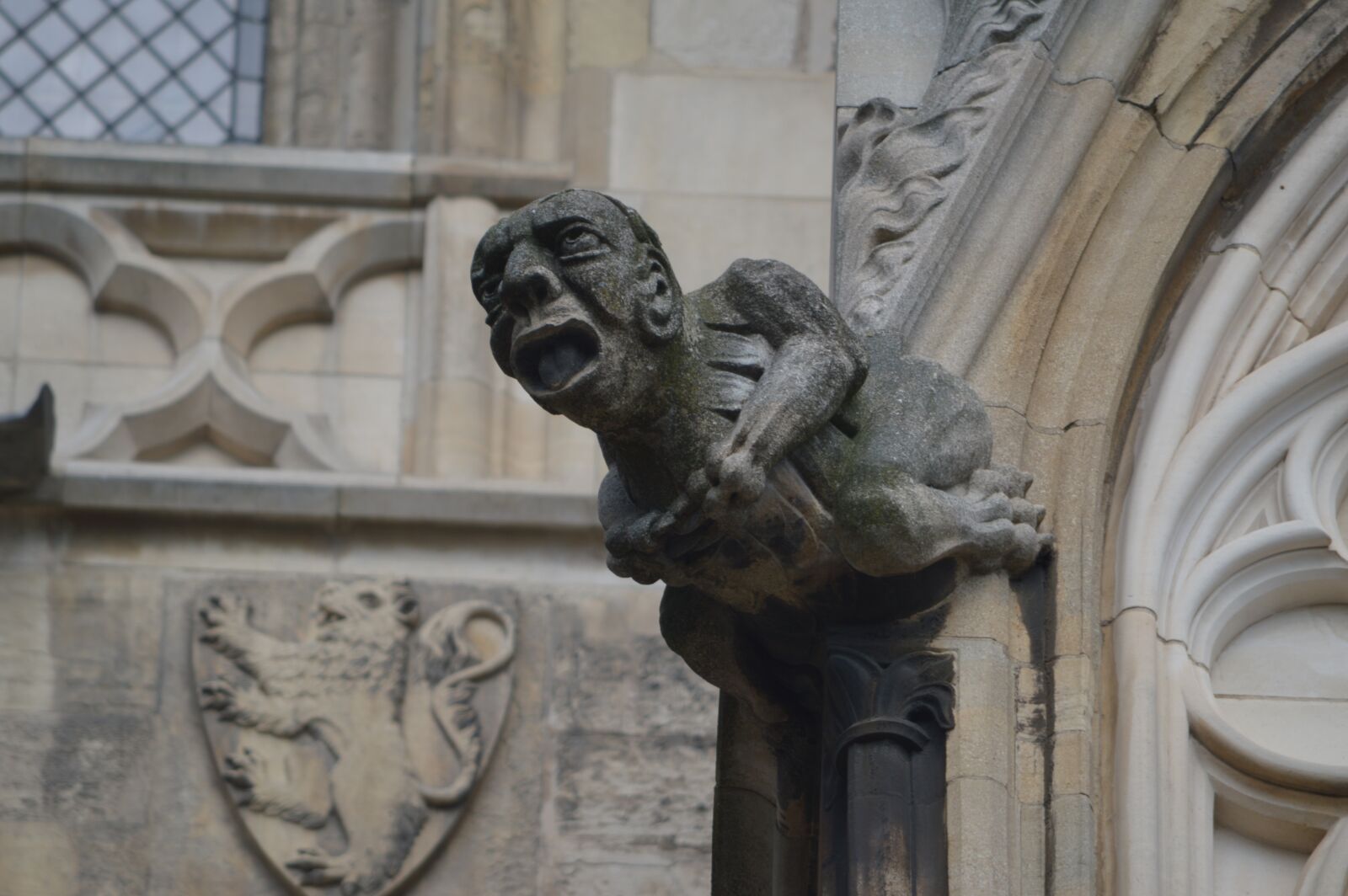 Nikon D3200 sample photo. Gargoyle, architecture, gothic photography