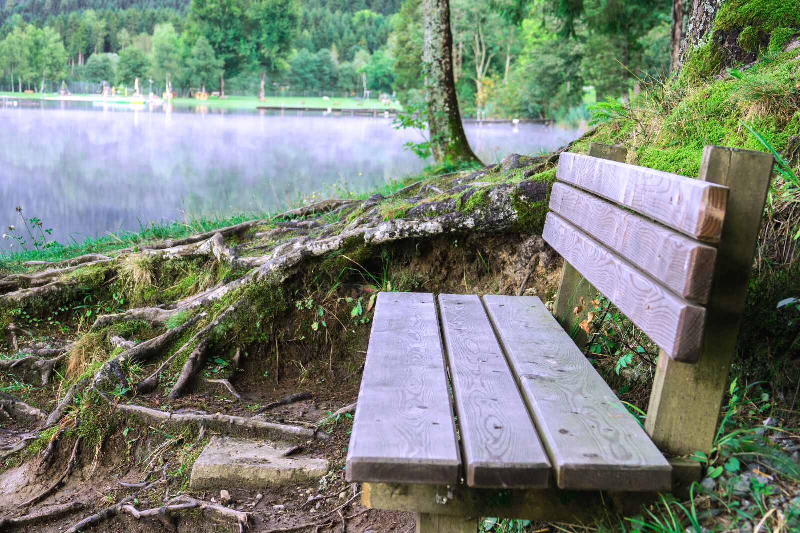 Sony Cyber-shot DSC-RX10 III sample photo. Bank, lake, wooden bench photography