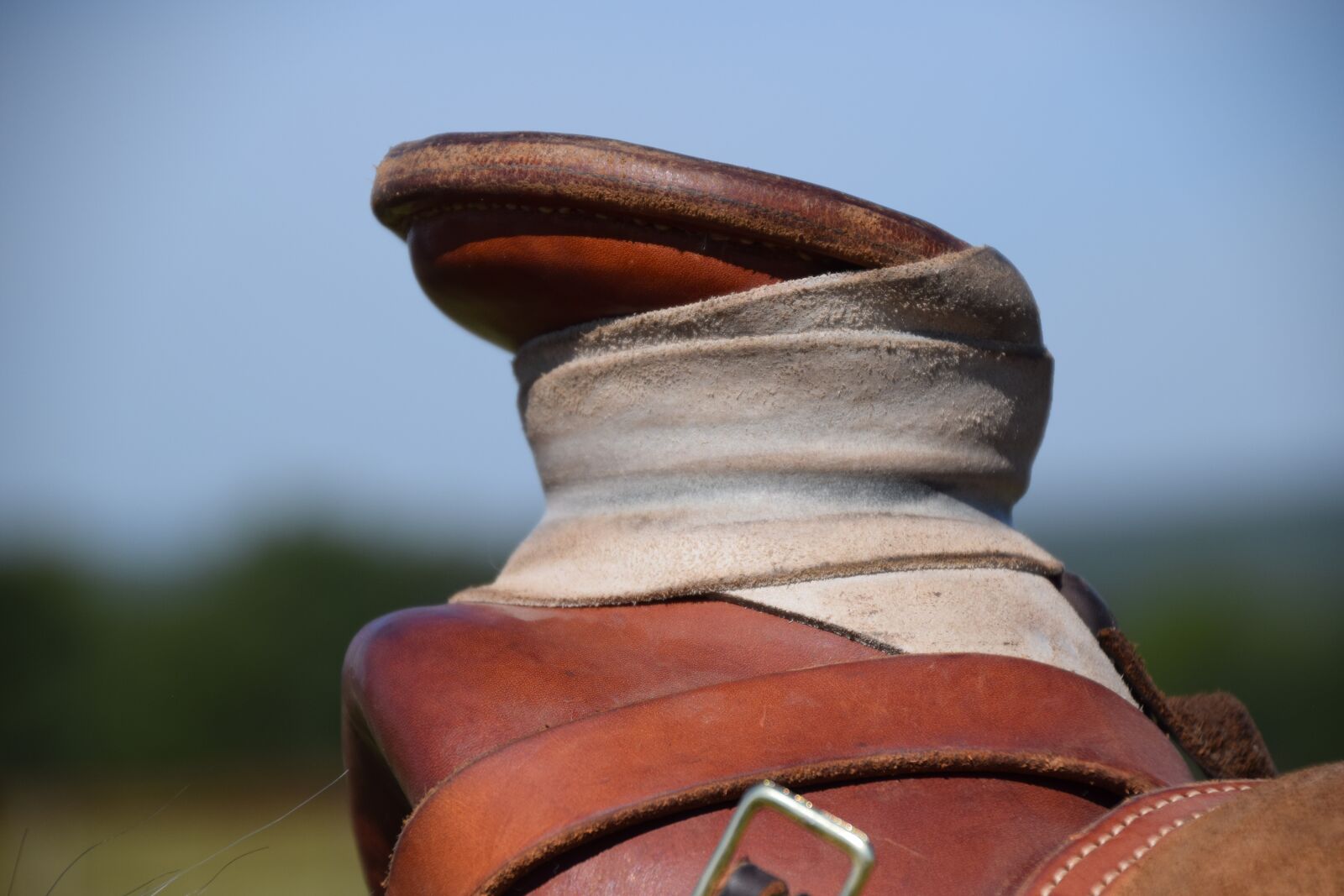 Nikon D5300 sample photo. Saddle, horn, cowboy photography
