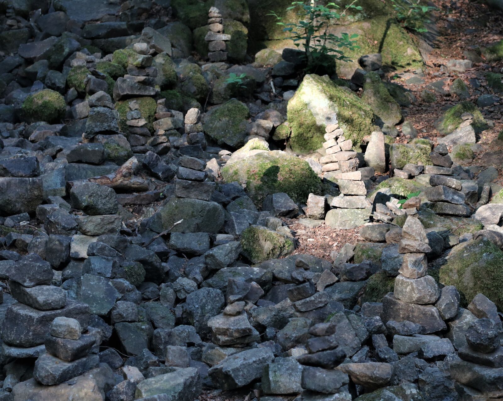 Canon EOS 80D + Canon EF 50mm F1.4 USM sample photo. Stone garden, stacked, light photography