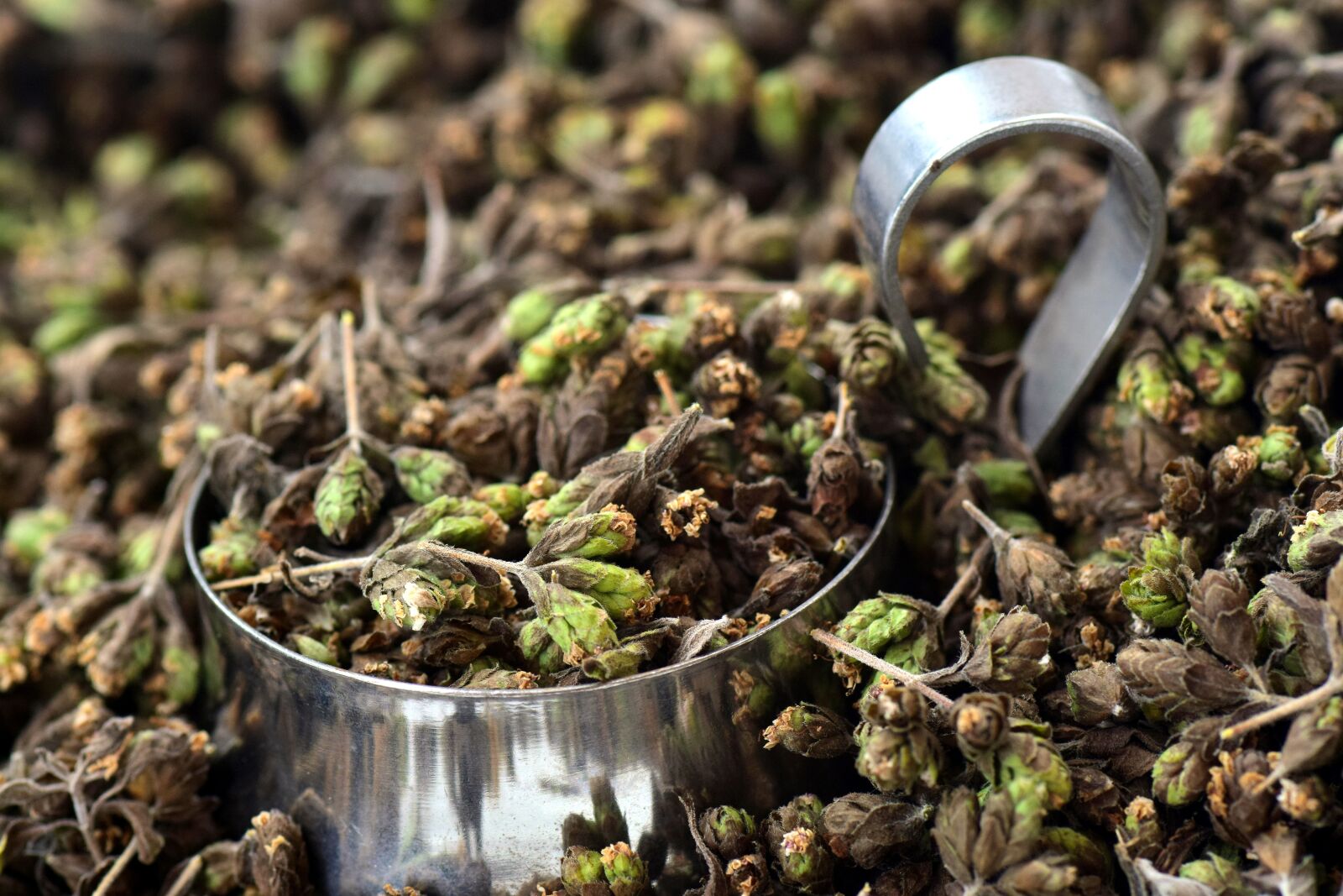Nikon D3300 sample photo. Oregano, spice, herbs photography
