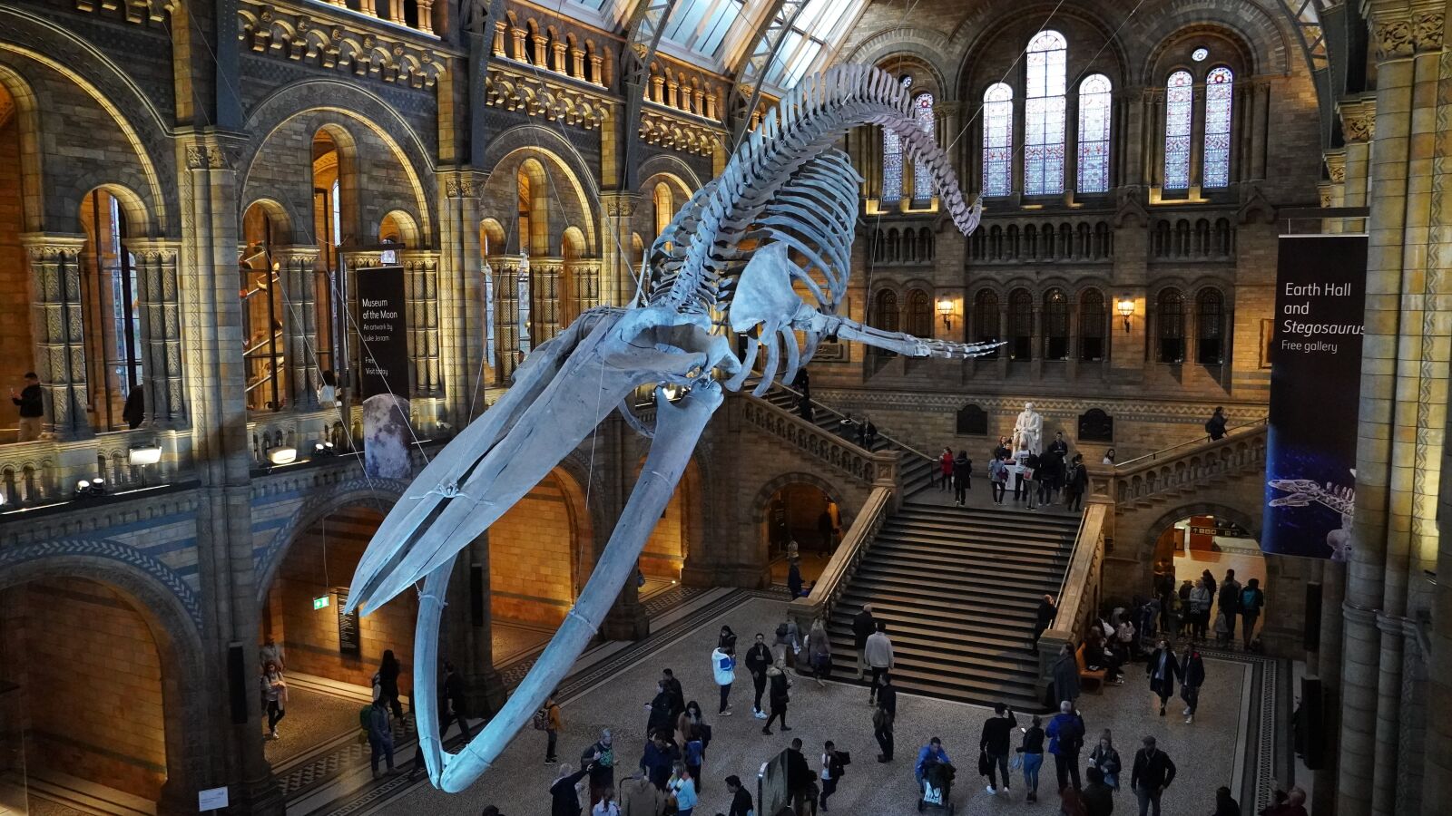 Sony E 18-135mm F3.5-5.6 OSS sample photo. Natural history museum, hall photography