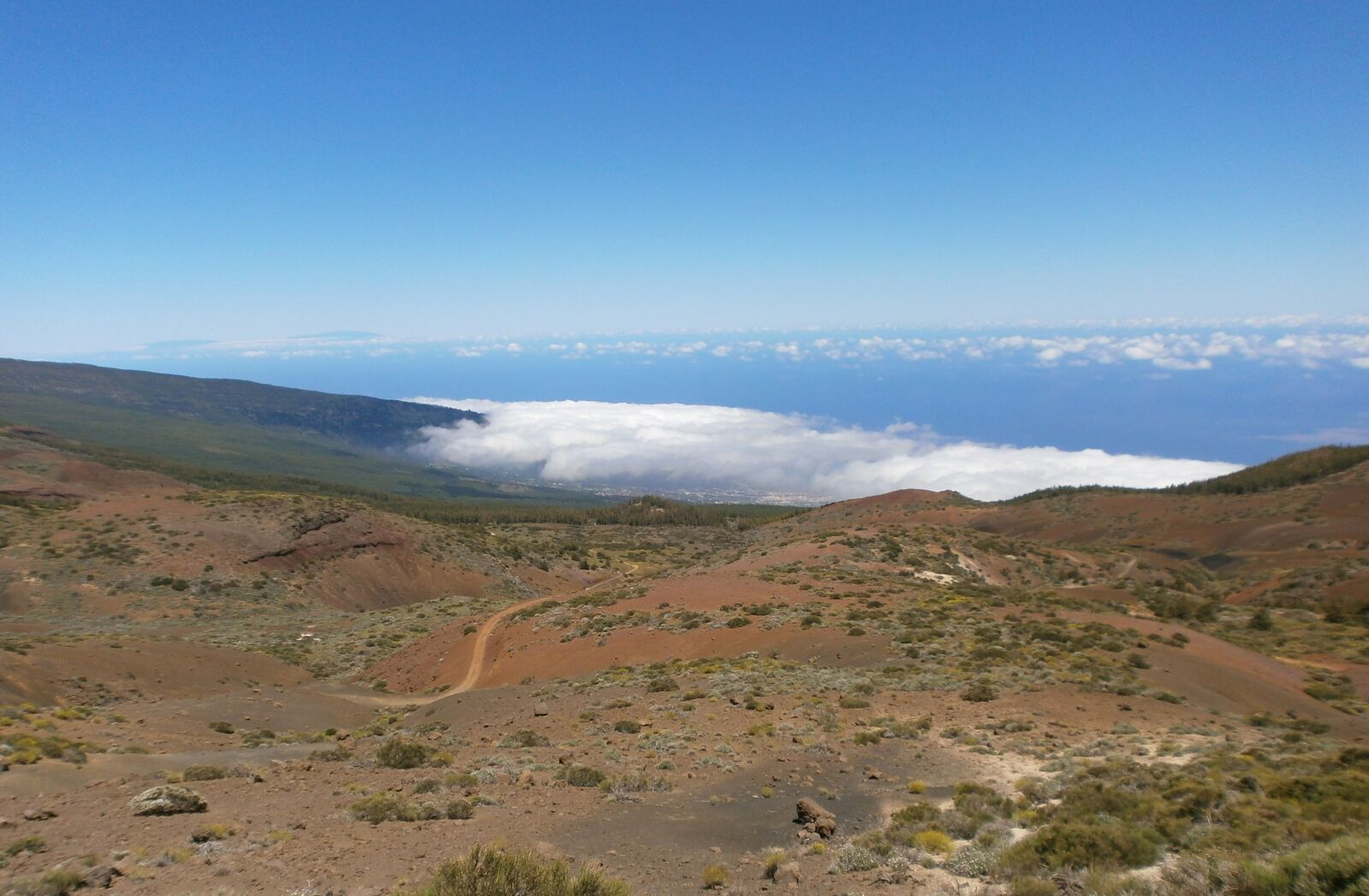 Olympus VG110,D700 sample photo. Tenerife, canary islands, teide photography