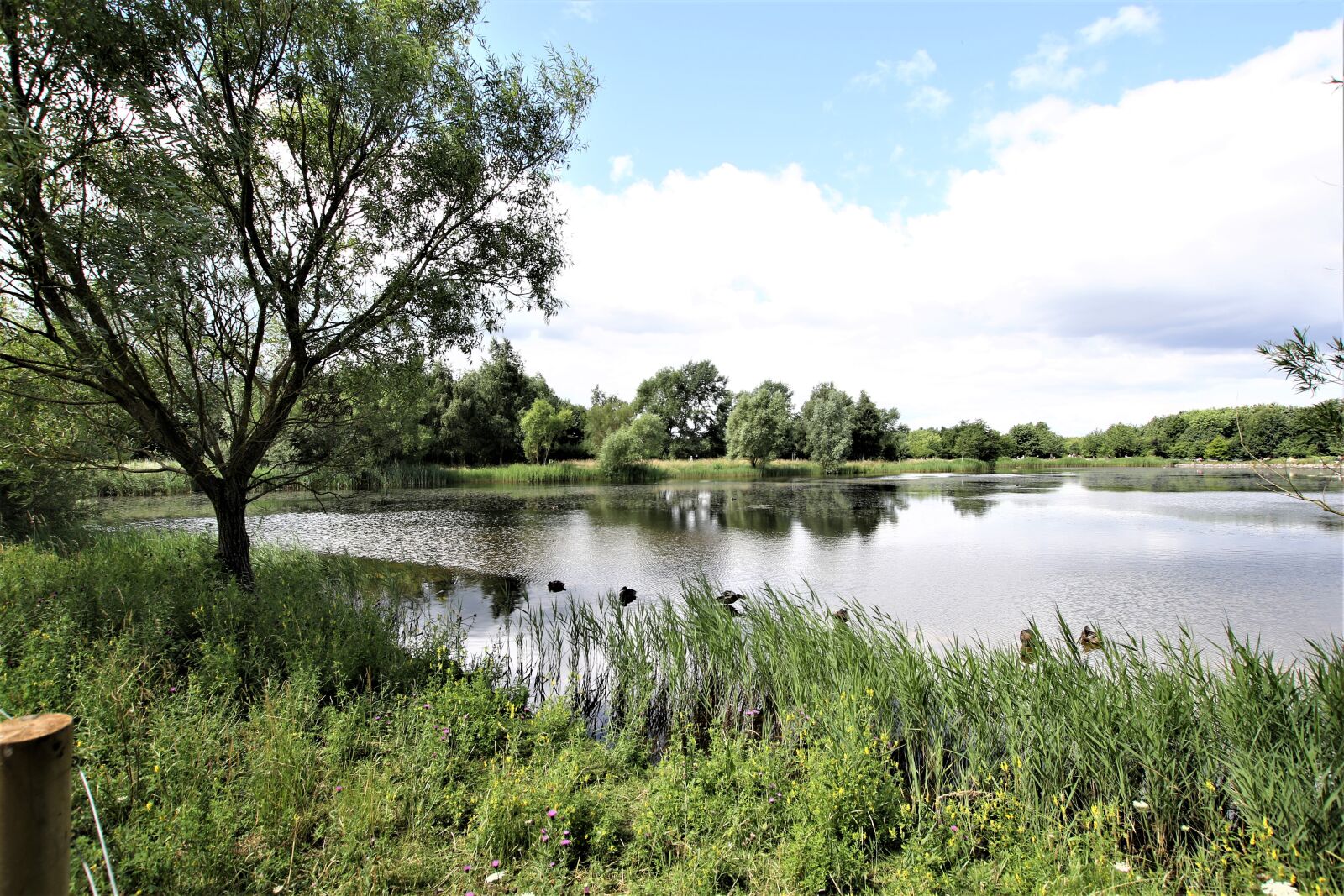 Canon EOS 7D Mark II sample photo. Landscape, lake, nature photography