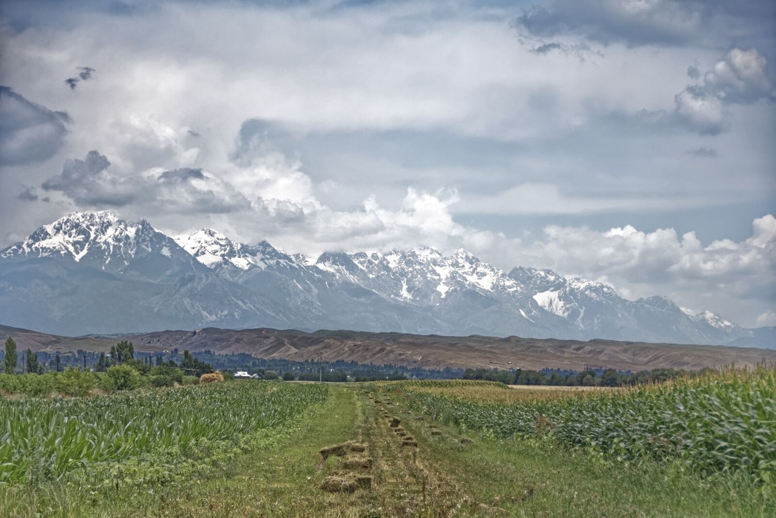 Nikon D500 sample photo. Kyrgyzstan, tian shan, mountains photography