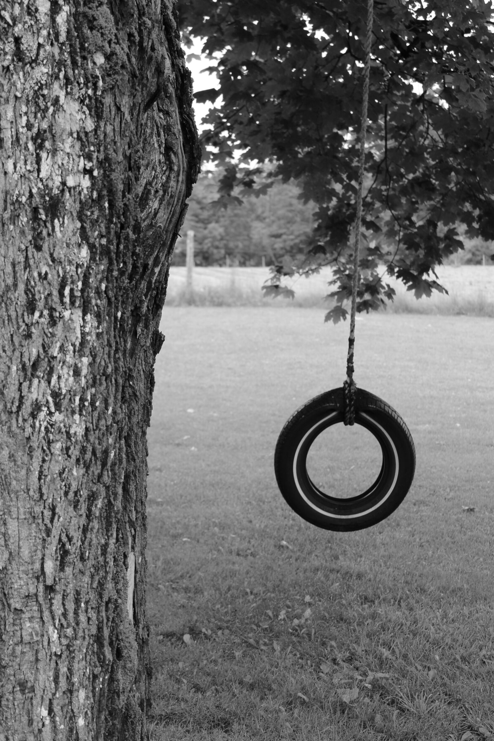 Canon EOS 1300D (EOS Rebel T6 / EOS Kiss X80) sample photo. Tire, tire swing, swing photography