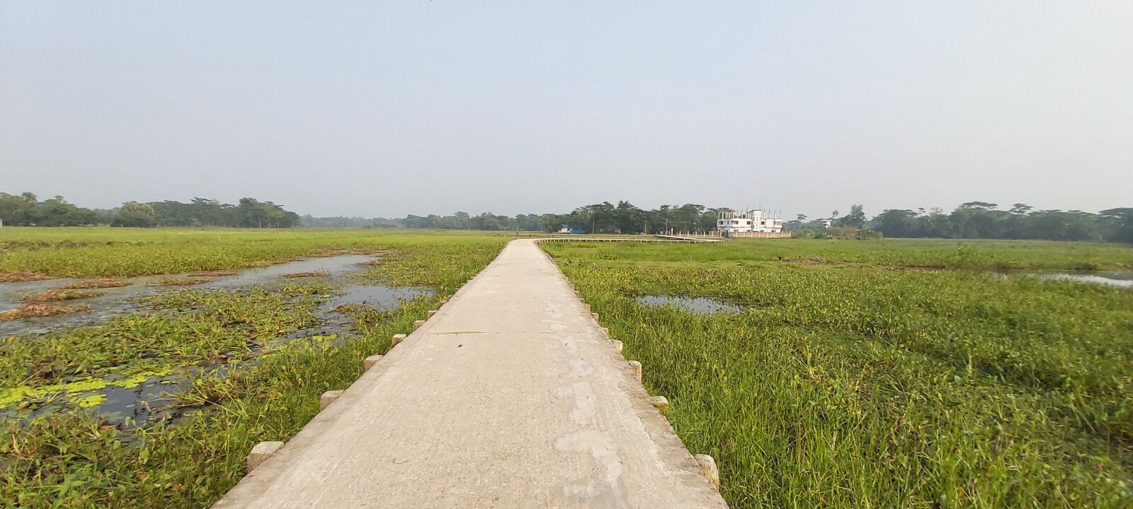 Samsung Galaxy A70 sample photo. Path, road, gr photography